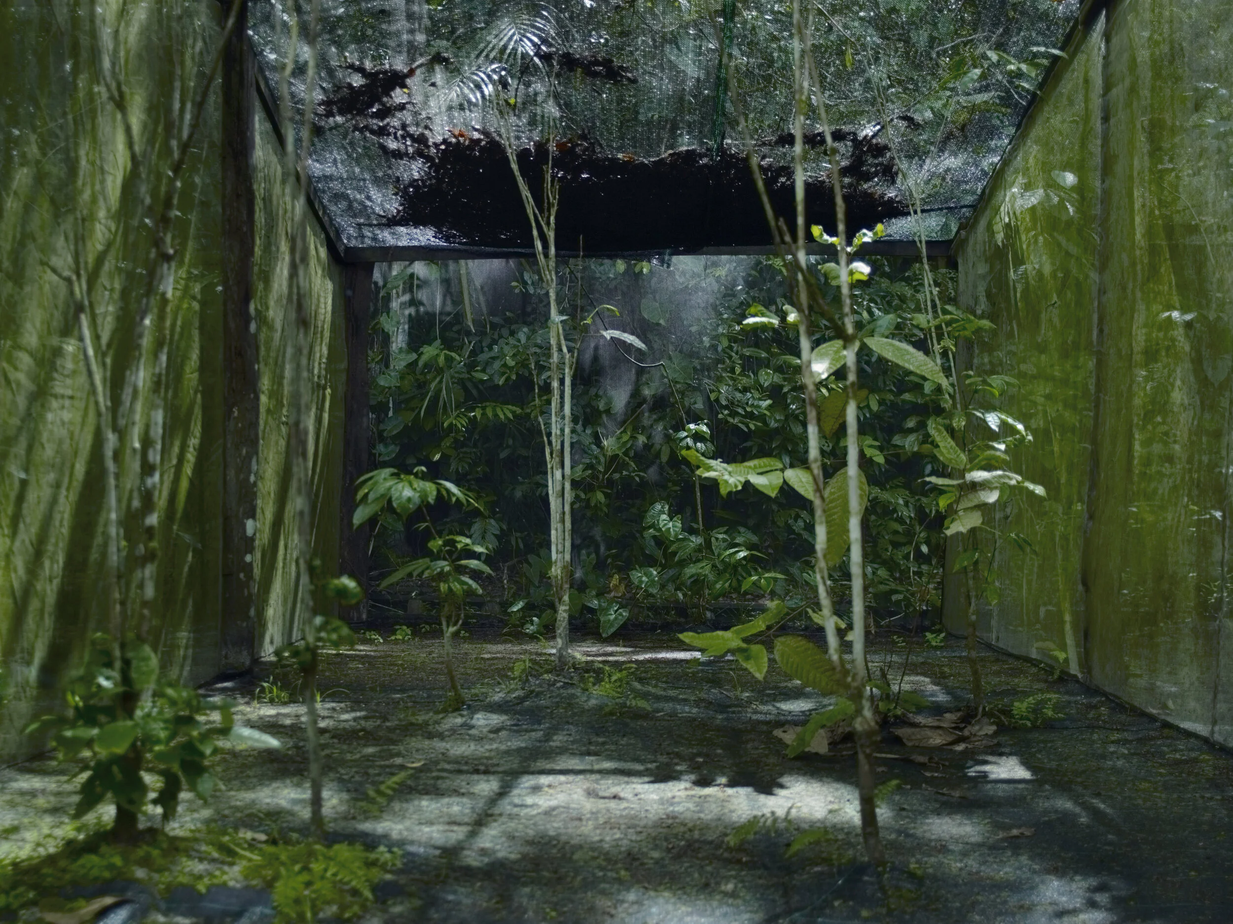 Helene Schmitz - Moonlight Room 2015 - Courtesy WILLAS contemporary