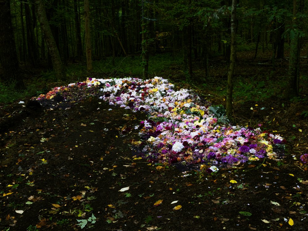 Cig Harvey The Compost Heap, Camden, Maine, 2019