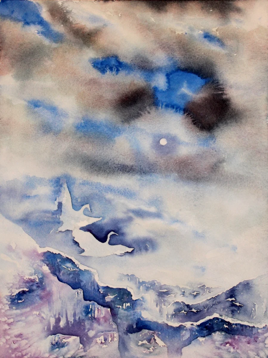 Canyon Flight I