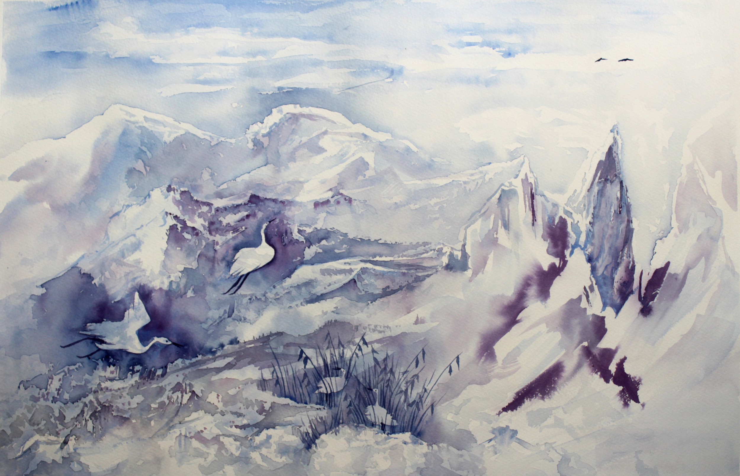 Flight of the Herons I  Time-lapse.jpg