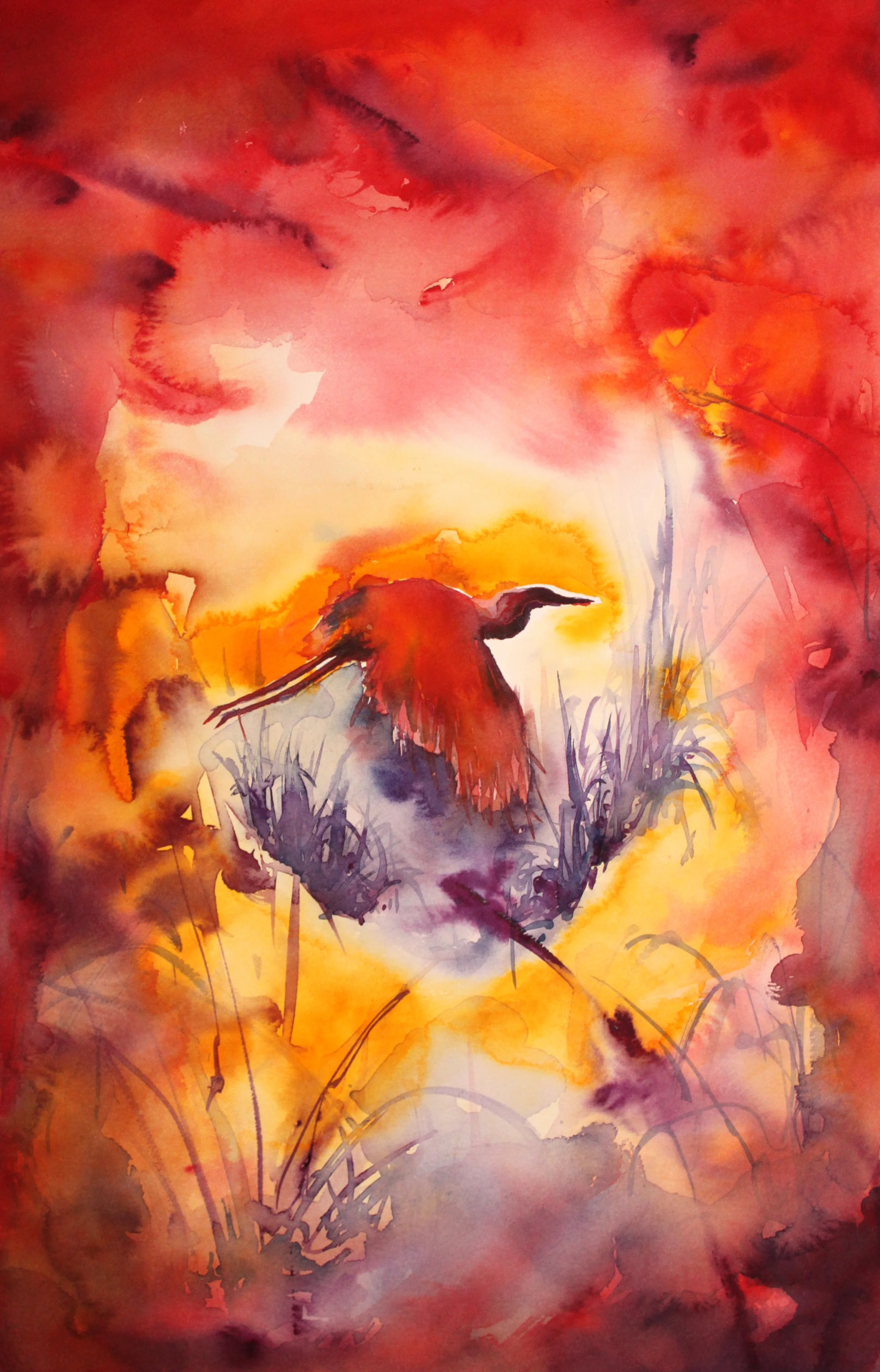 Raku Flight from Red