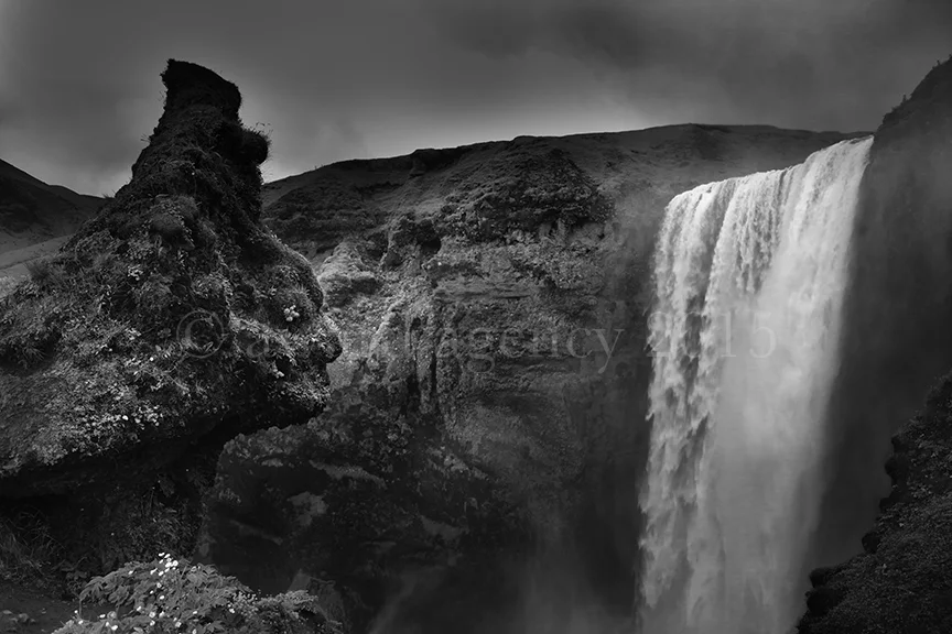 4H7A2247-edit-web.jpg