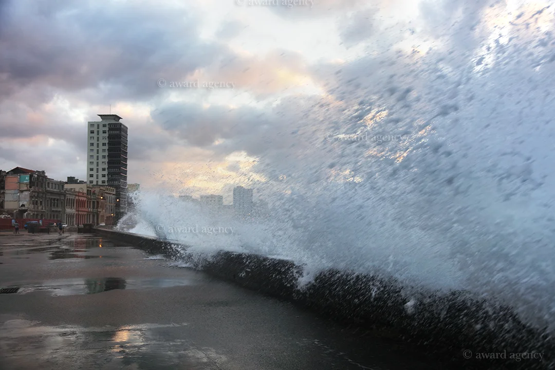 0W6A5220-edit-web.jpg