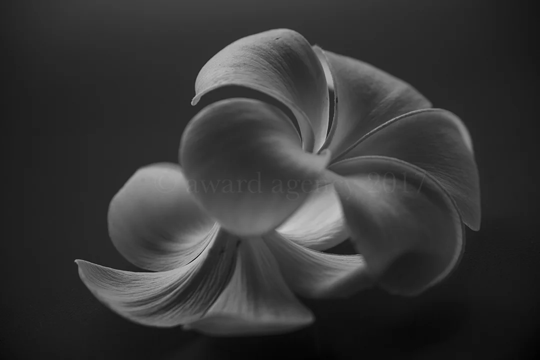 0W6A7457.jpg
