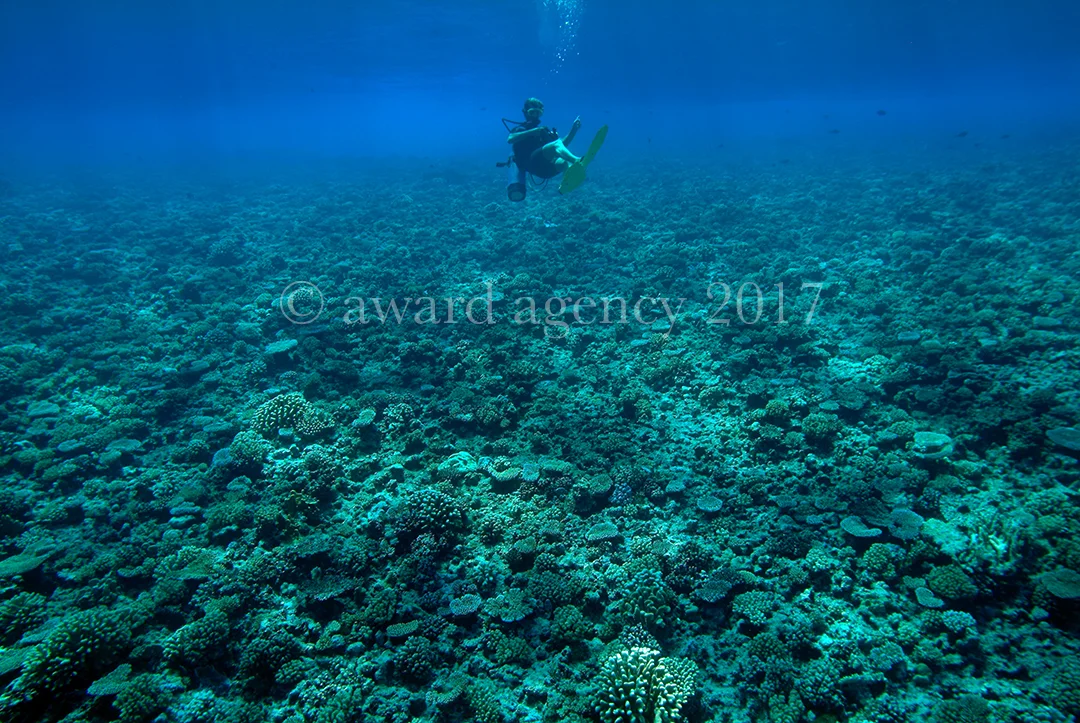 DSCF6919-edit.jpg