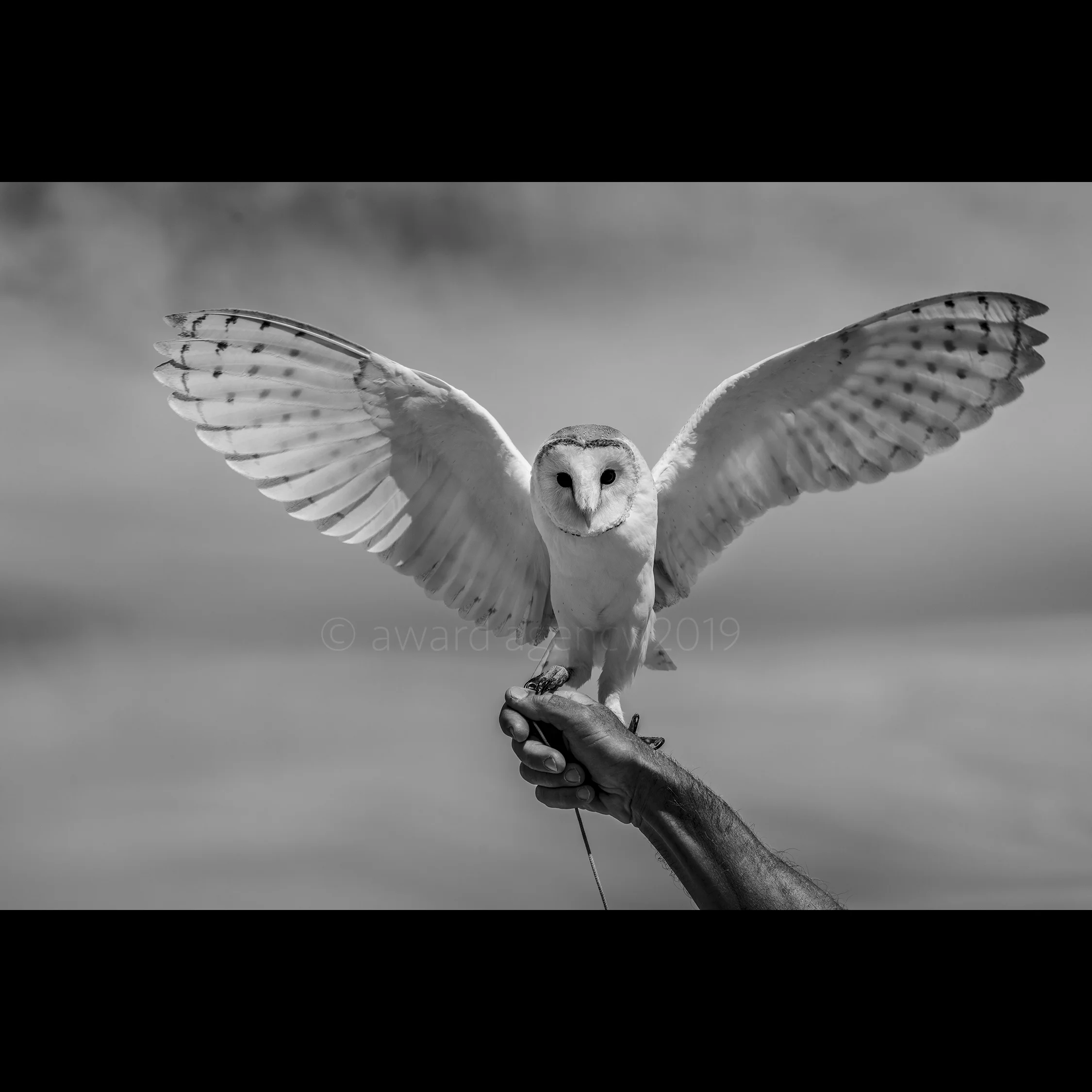 0H0A6555.jpg