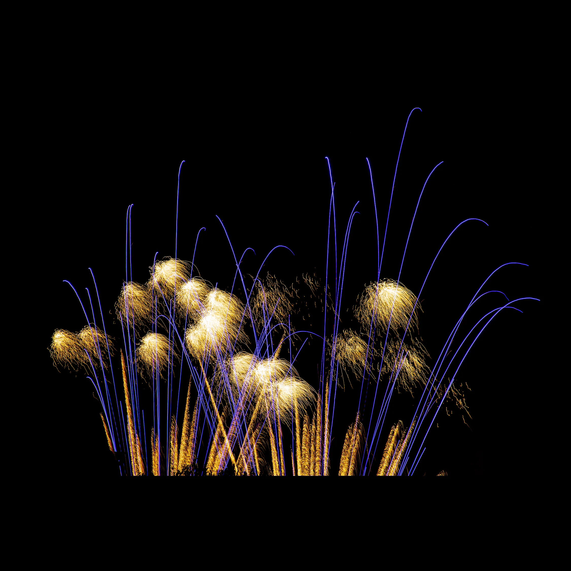 2I7A6138.jpg