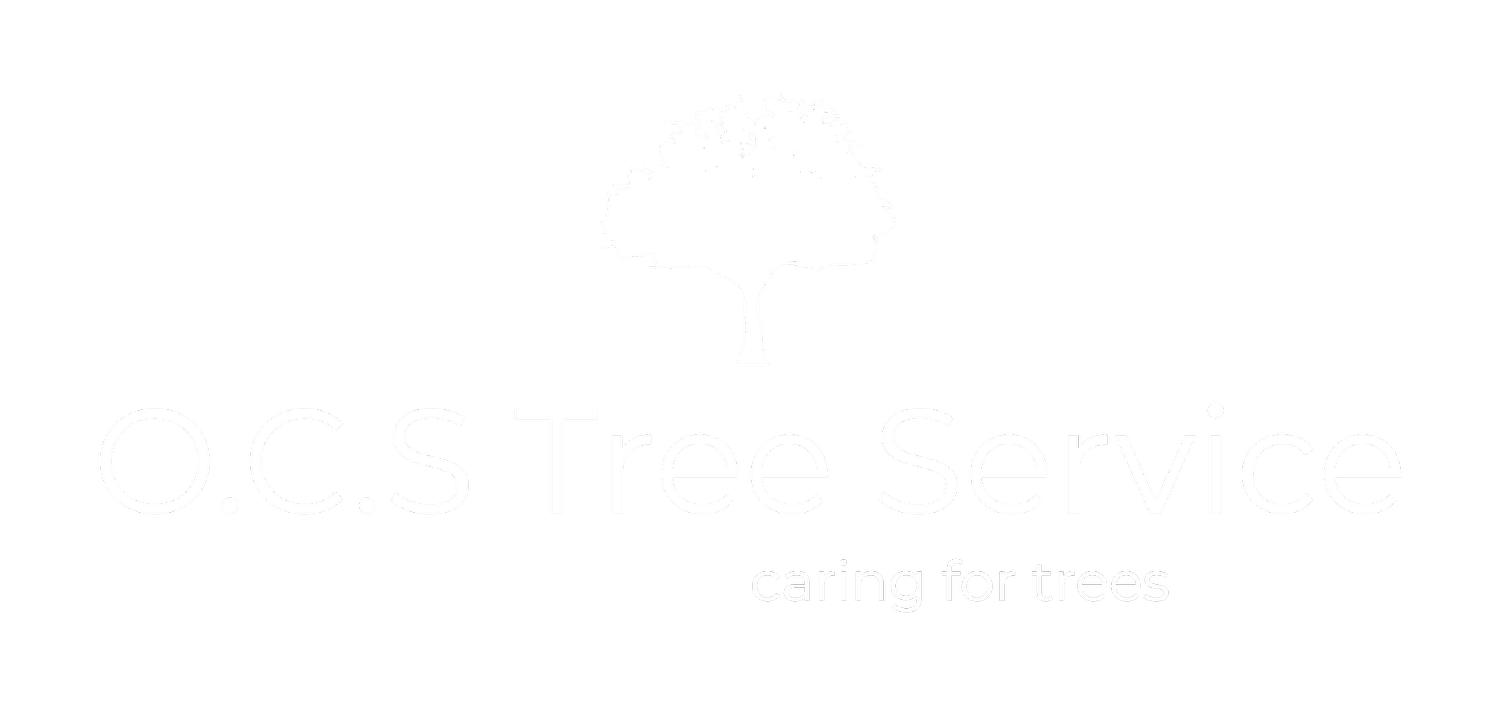 San Antonio Trees Services