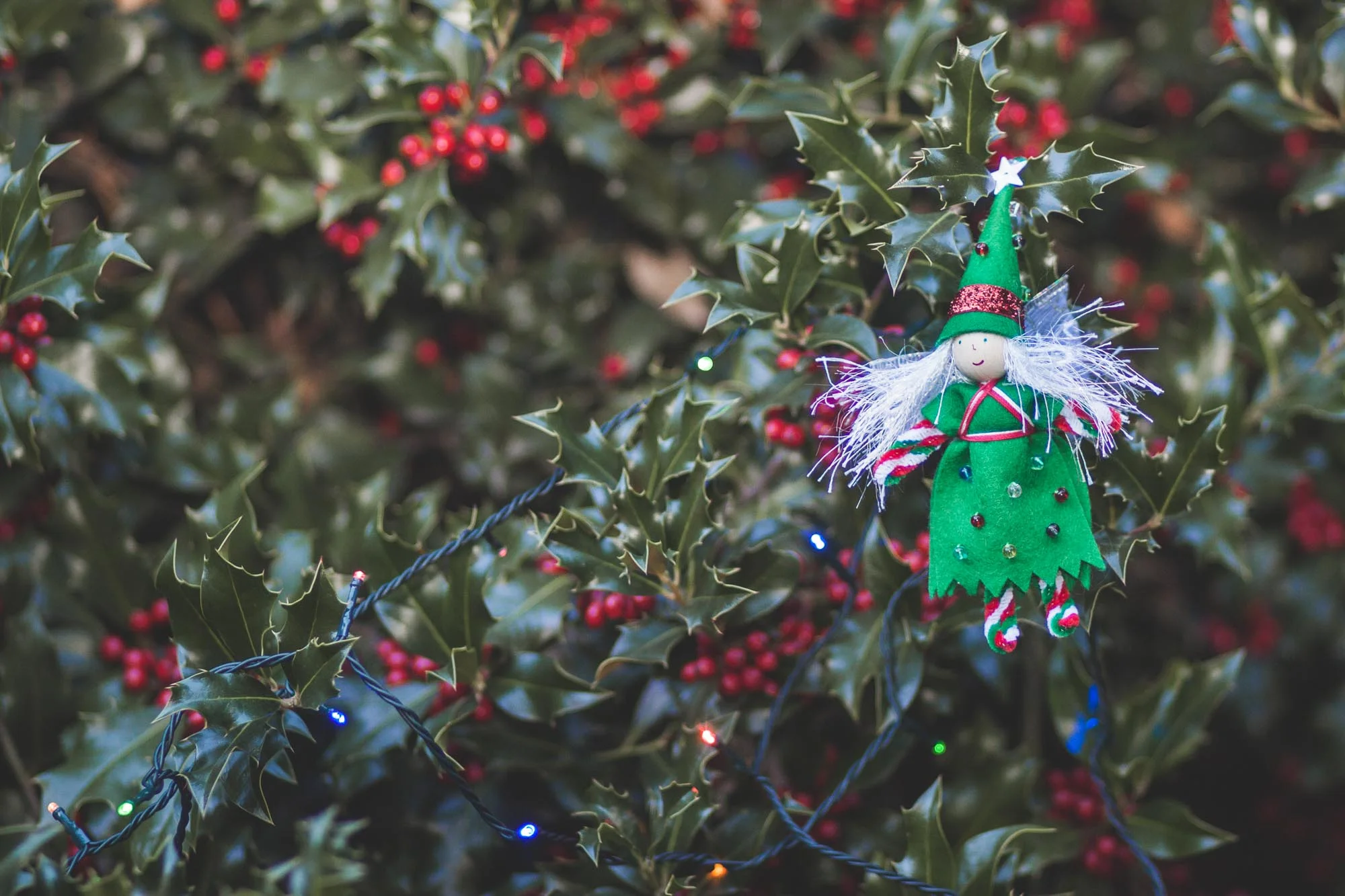 XmasTreeFairy-53.jpg