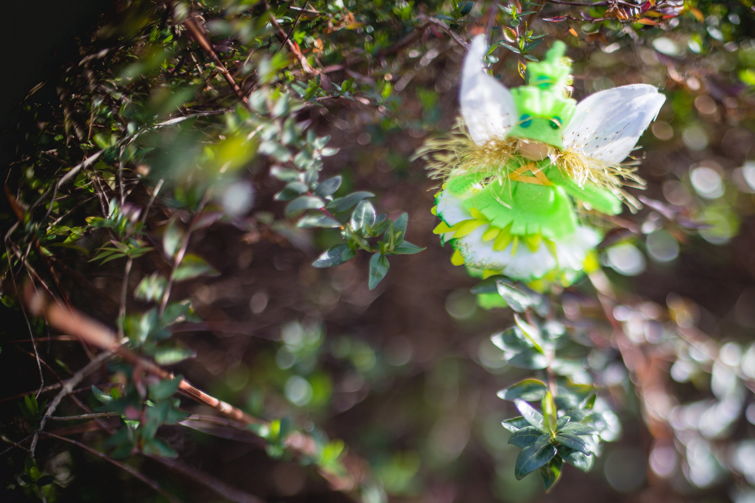 Forest Fairy Crafts | Made by Lenka Vodicka-Paredes