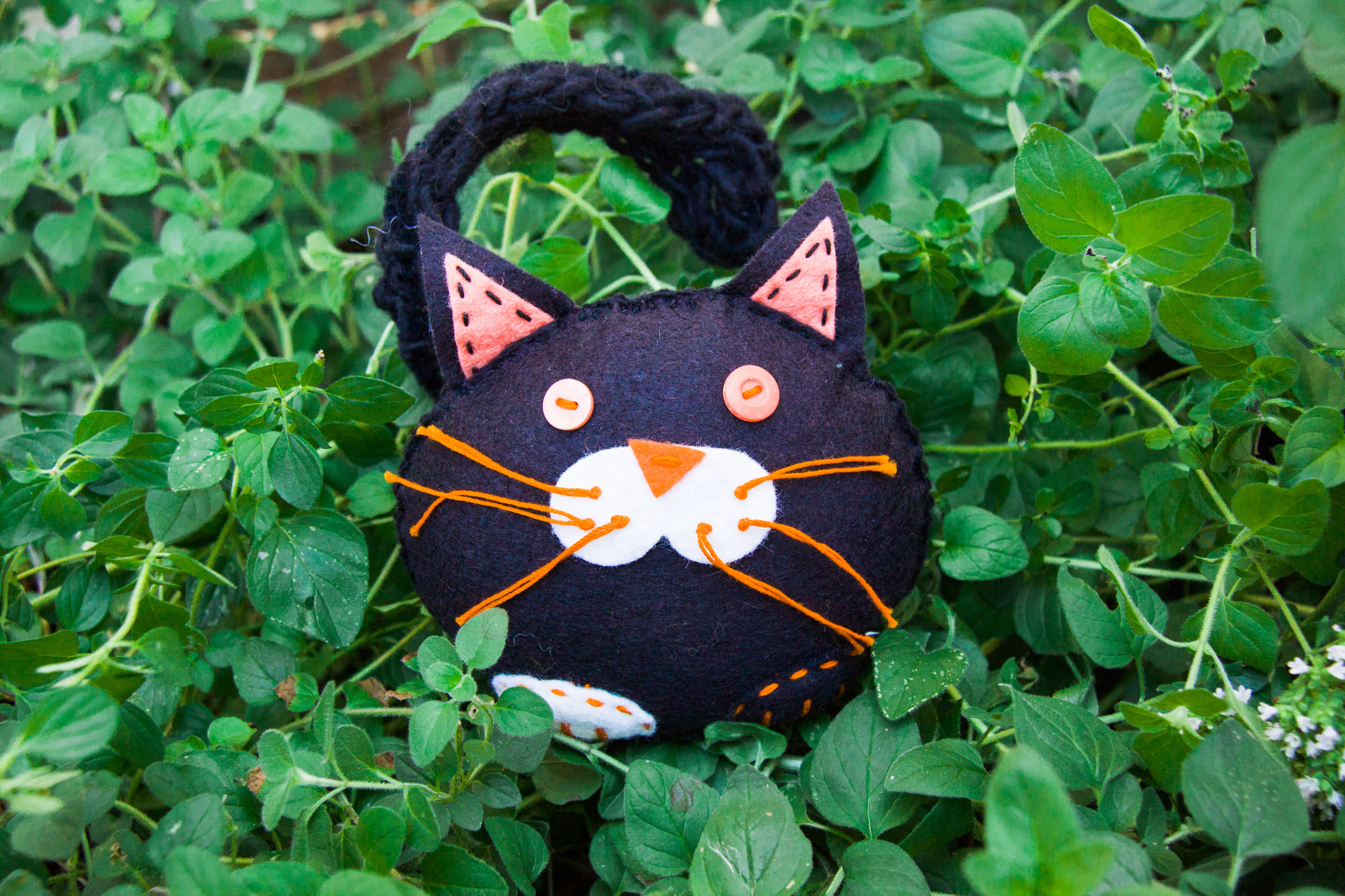 Black cat for Halloween | Autumn crafts the the Forest Fairy Crafts books by Lenka Vodicka-Paredes and Asia Curry. Handwork and enchanted ideas for children of all ages.