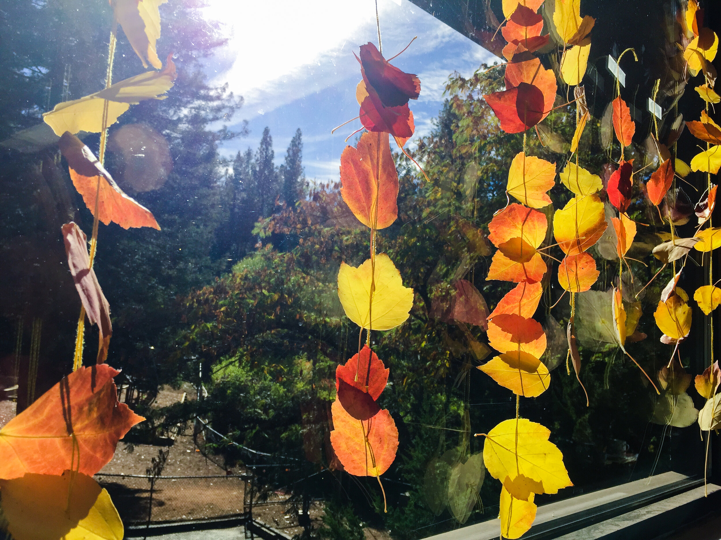 Nature Activity for Children- Autumn Leaf Decoration by Forest Fairy Crafts