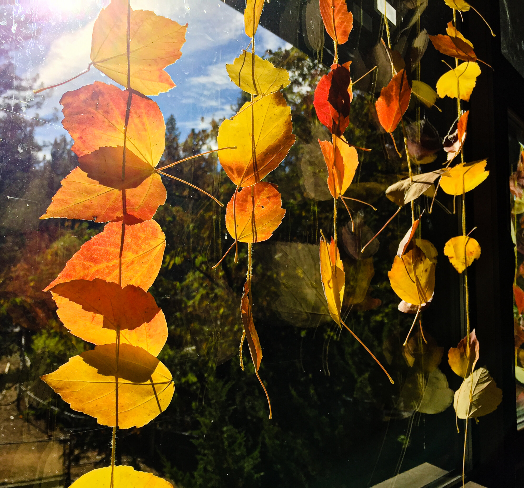 Nature Activity for Children- Autumn Leaf Decoration by Forest Fairy Crafts