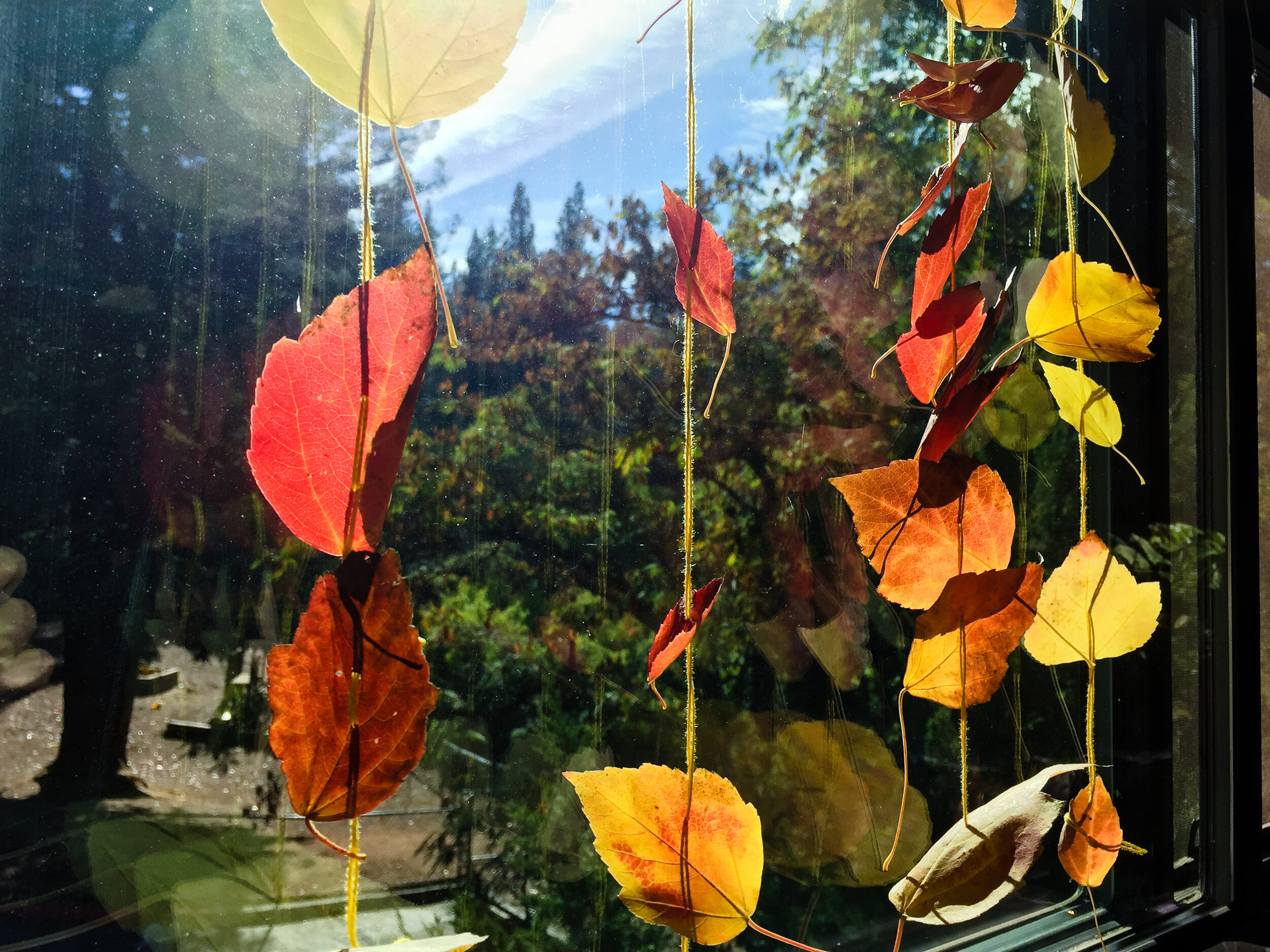 Nature Activity for Children- Autumn Leaf Decoration by Forest Fairy Crafts