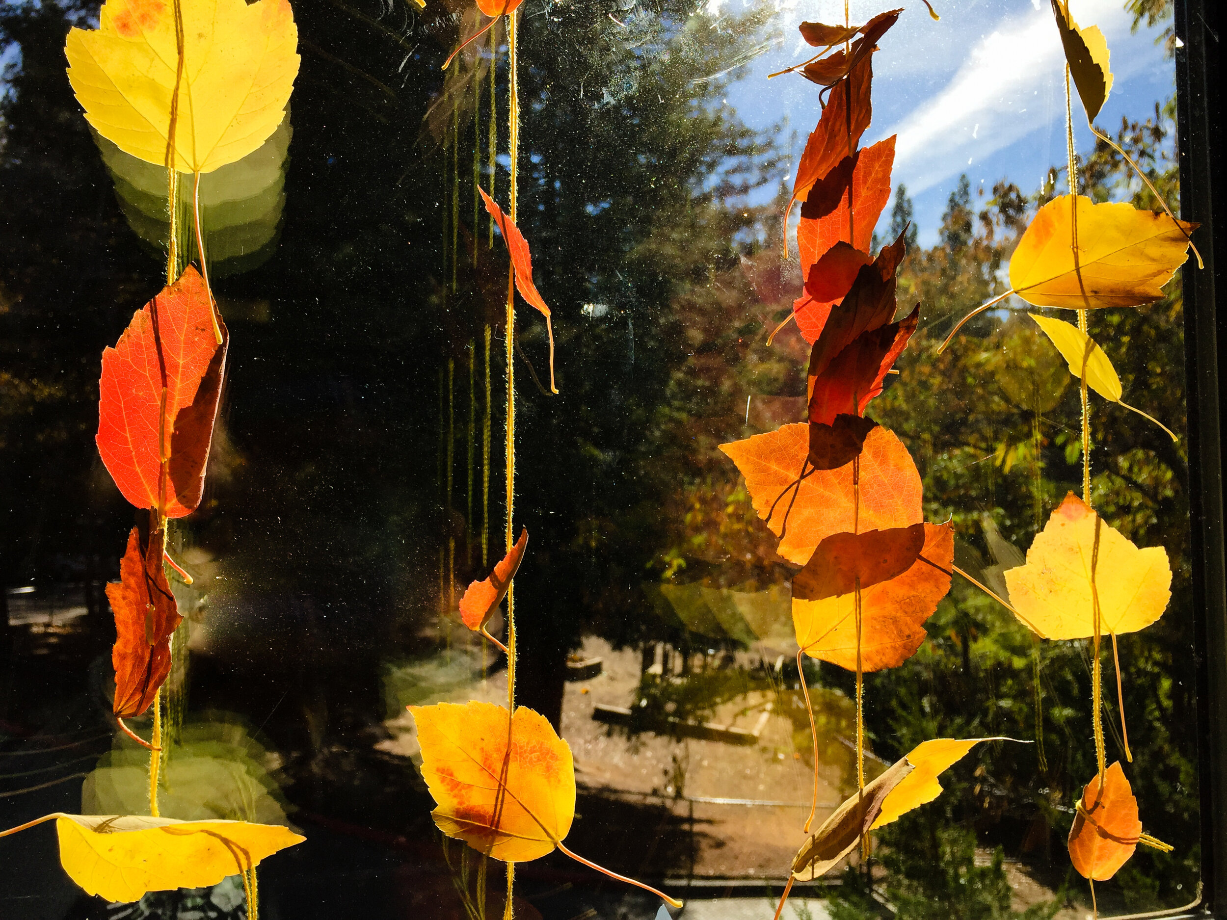 Nature Activity for Children- Autumn Leaf Decoration by Forest Fairy Crafts