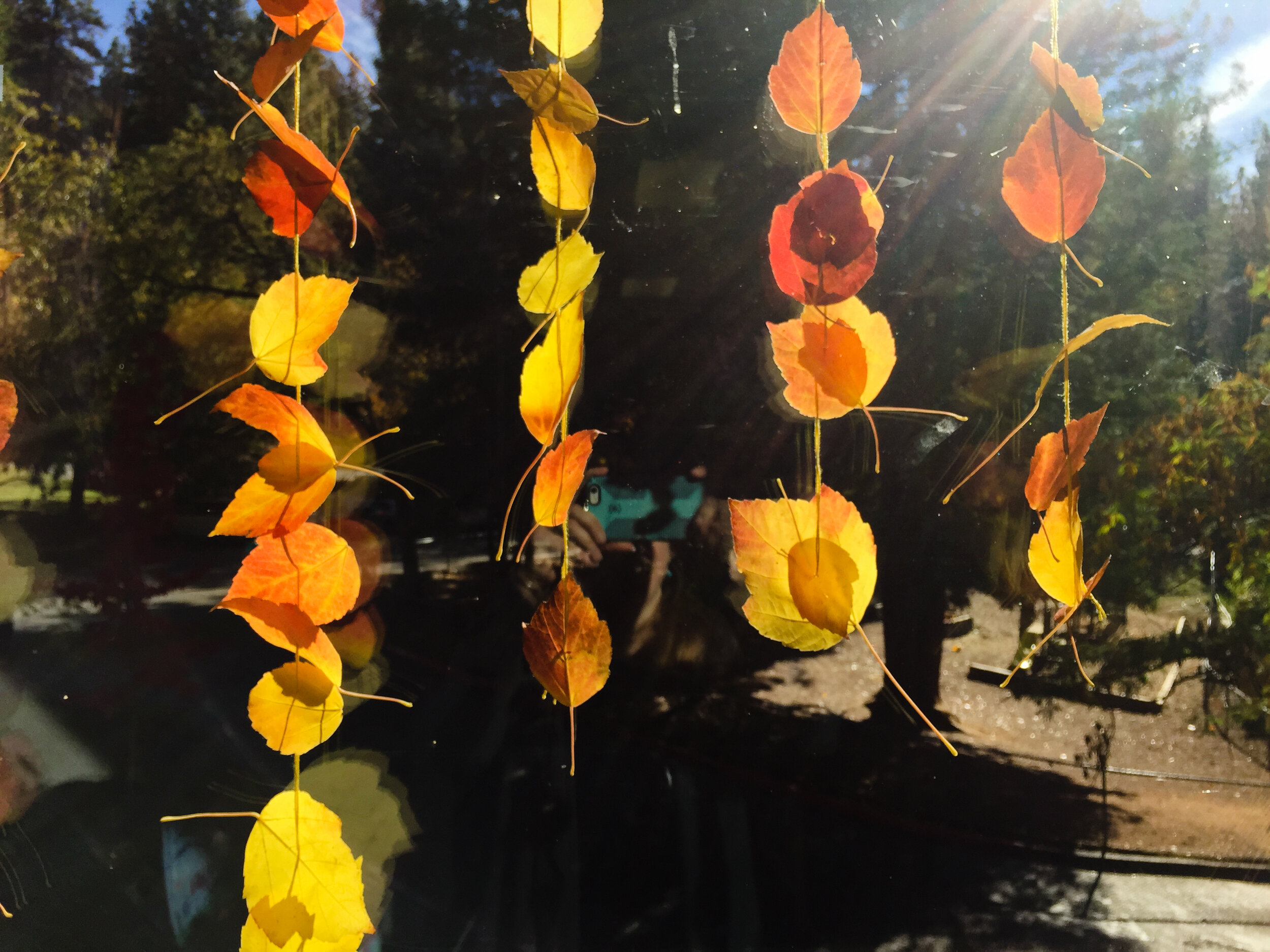 Nature Activity for Children- Autumn Leaf Decoration by Forest Fairy Crafts