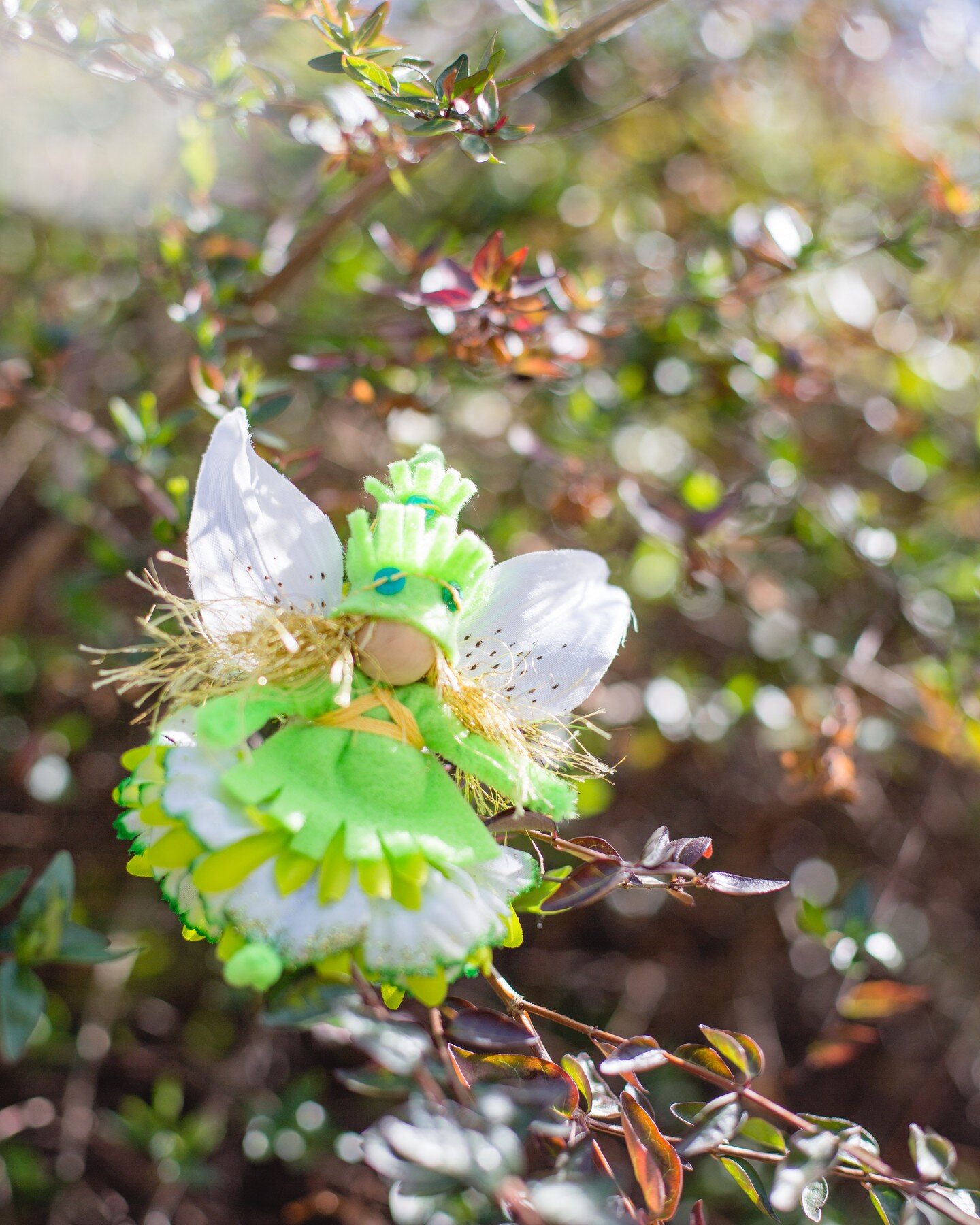 May magic and good luck find you today and every day 🍀🌈☘️💚#forestfairycrafts #leprechaun #crafts