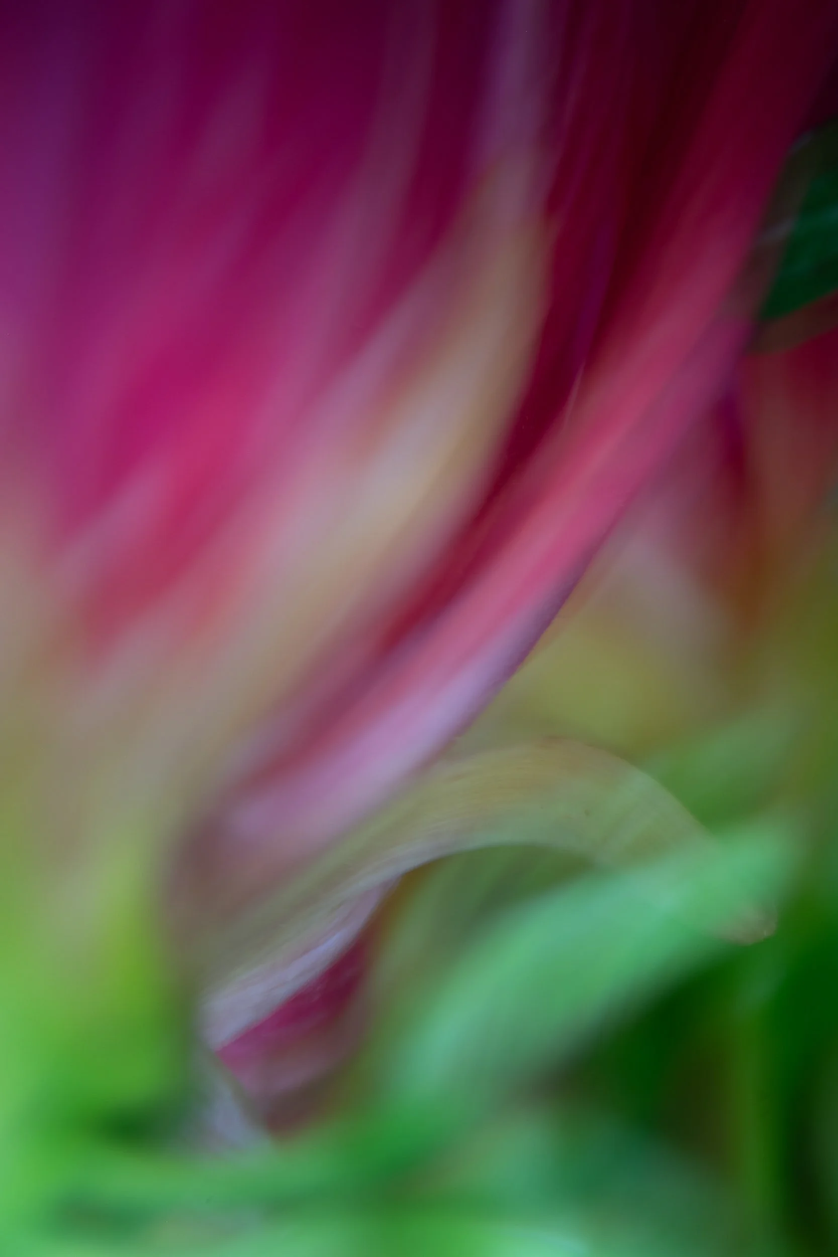 ©ilenehertz_260818_130993-43.jpg