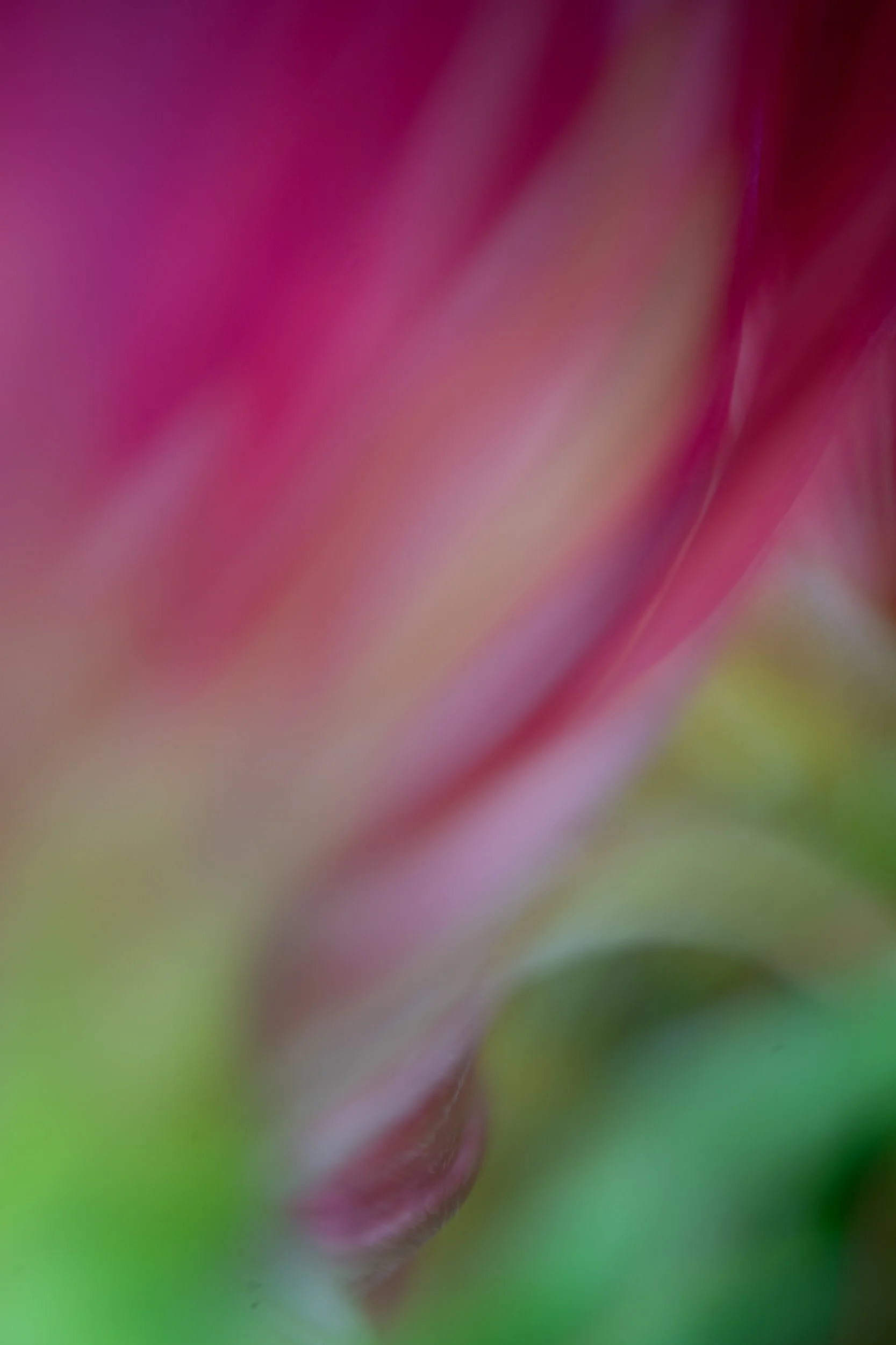 ©ilenehertz_260818_130994-44.jpg