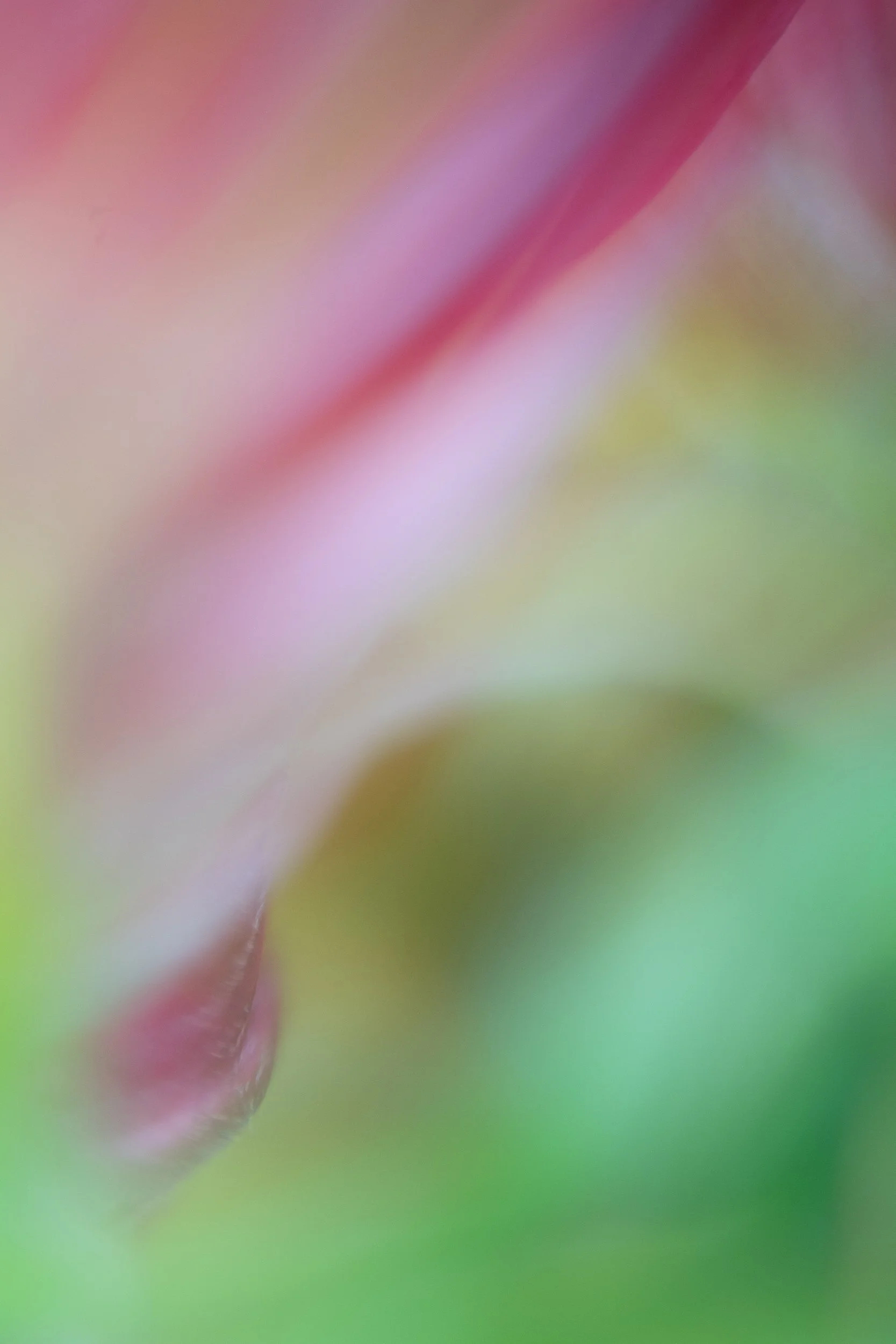 ©ilenehertz_260818_130995-45.jpg