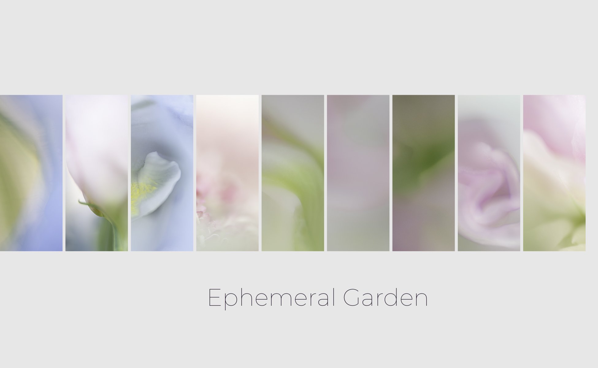 Ephemeral Garden Triptych.jpg