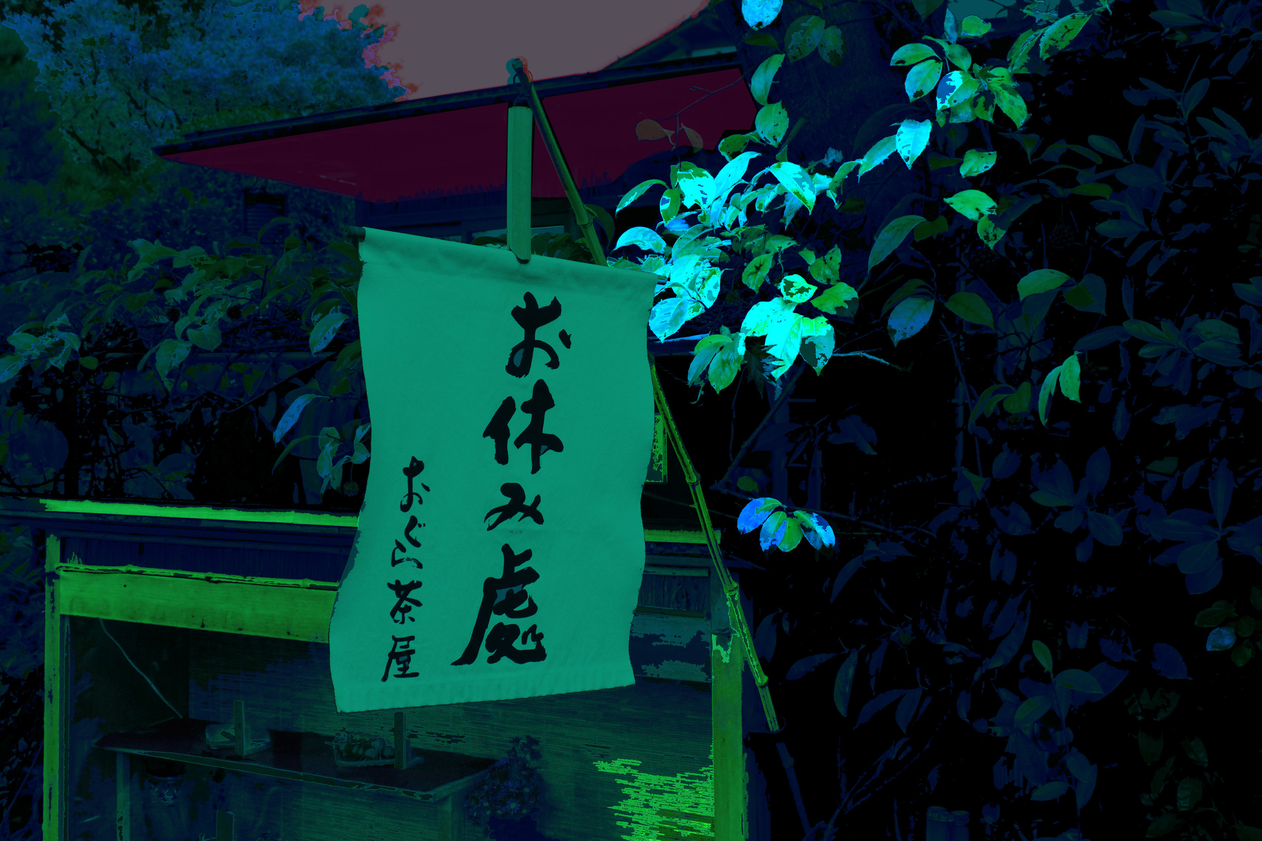 Moonlit