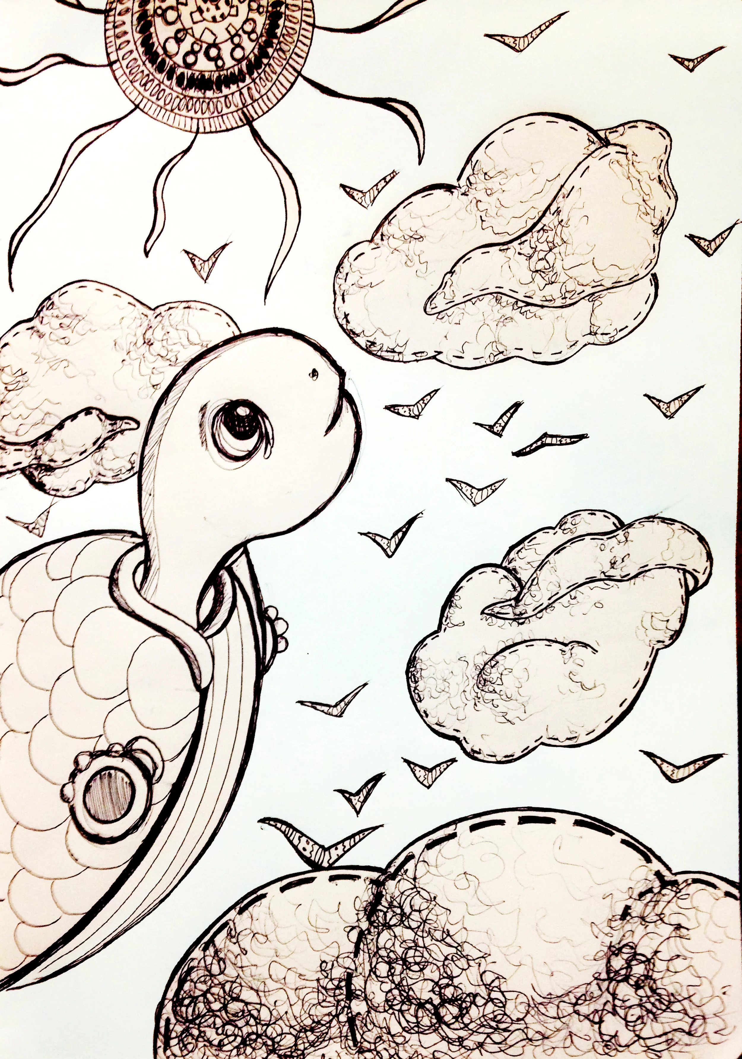turtle dreams.jpg