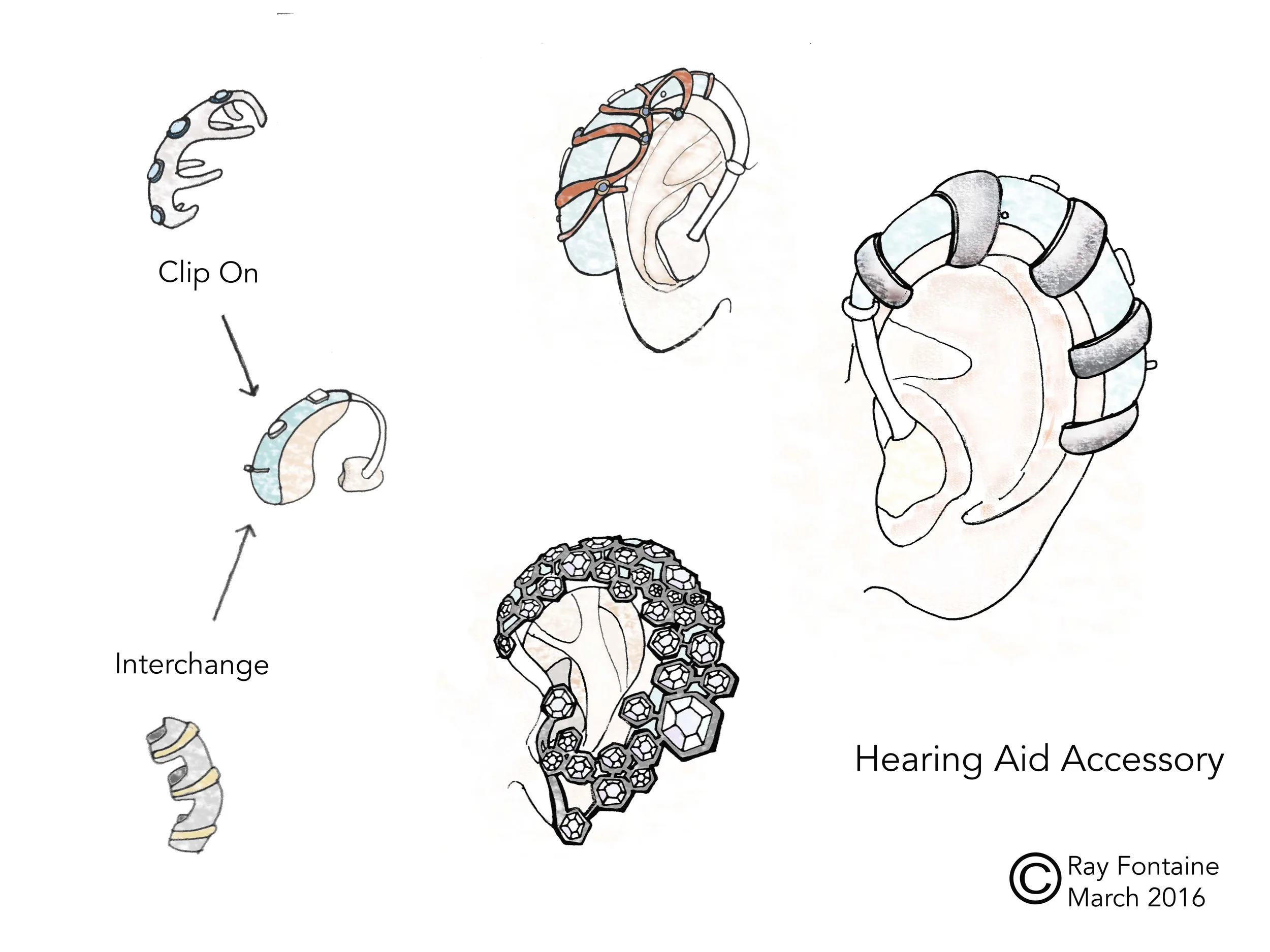 Interchangeable Accessory Concept