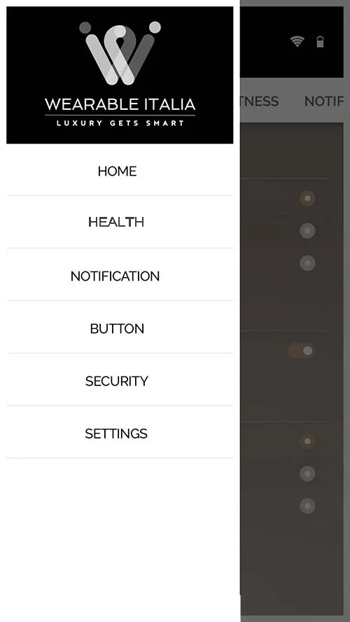 Wearable Italia Application Interface