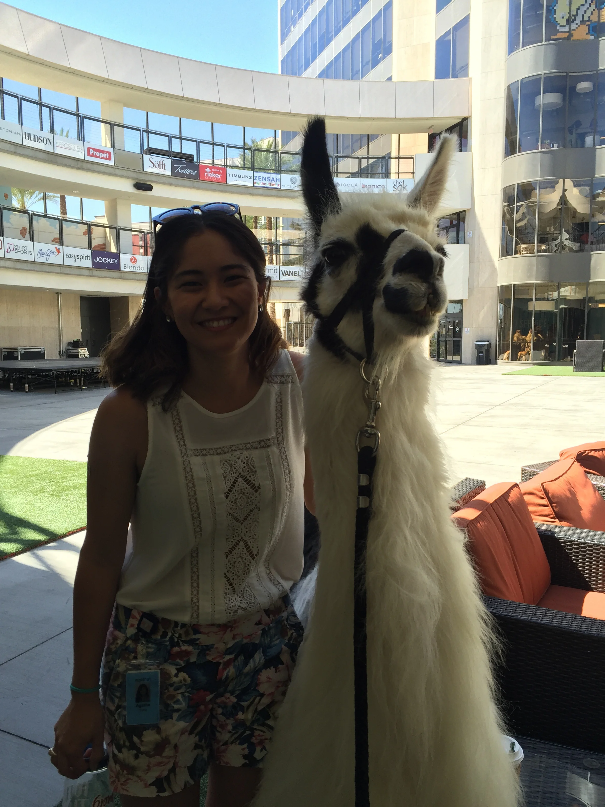 Just hanging out with Cuzco.
