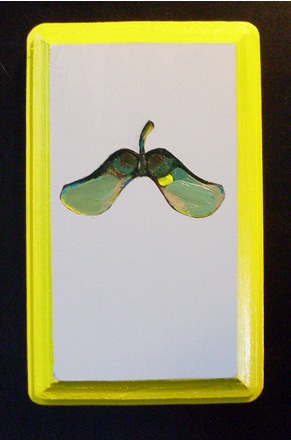 Helicopter Seed