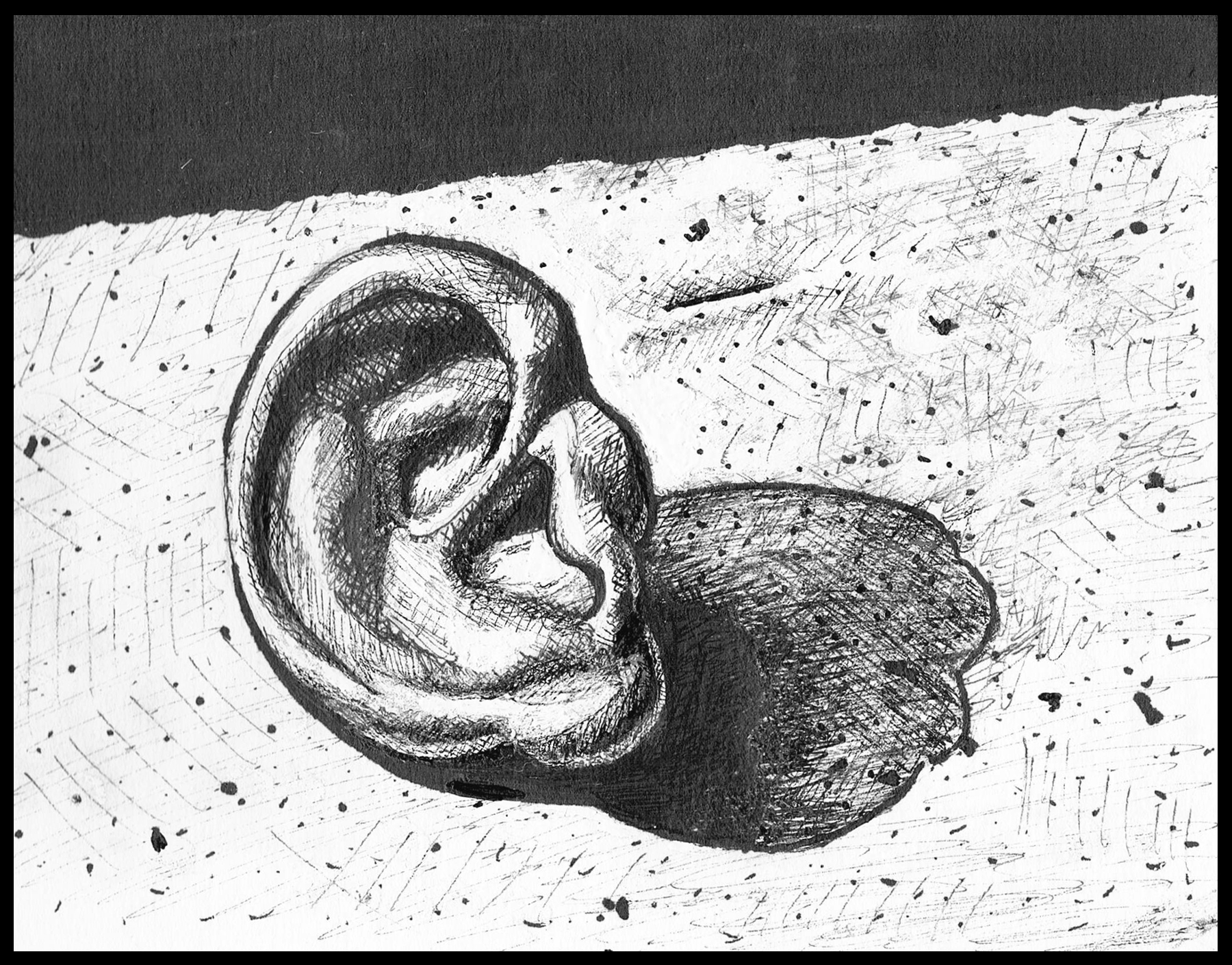 Always Hear to Listen