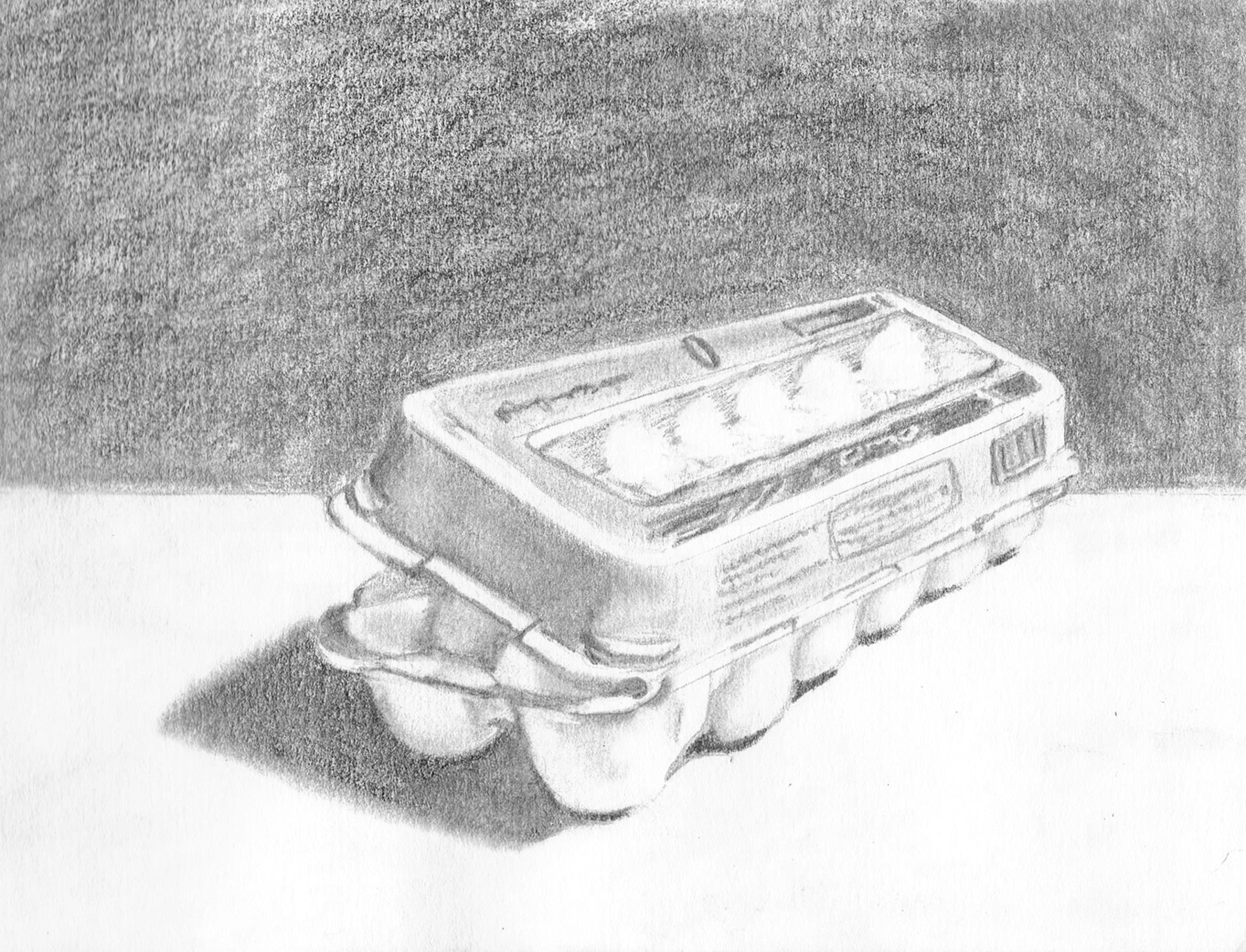 Egg Carton b