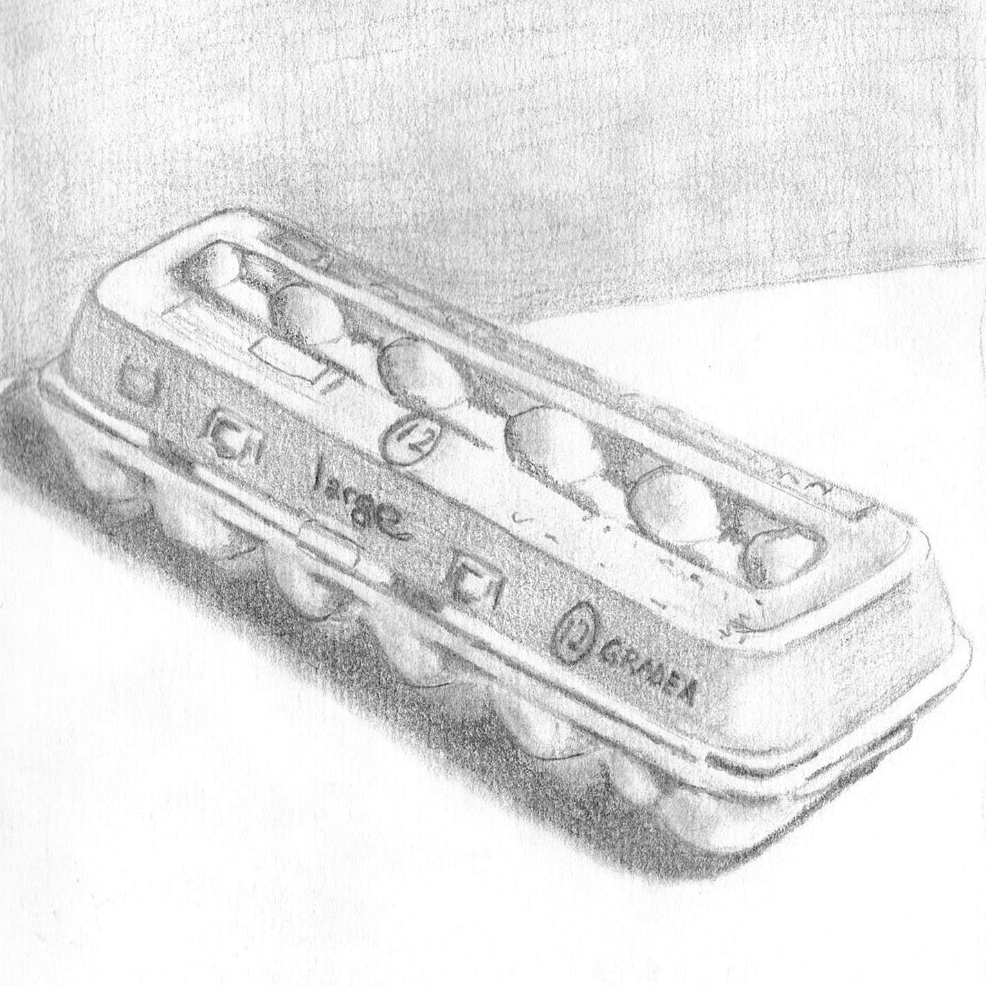 Egg Carton a