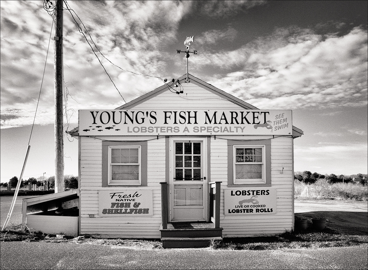 Young's Fish Market