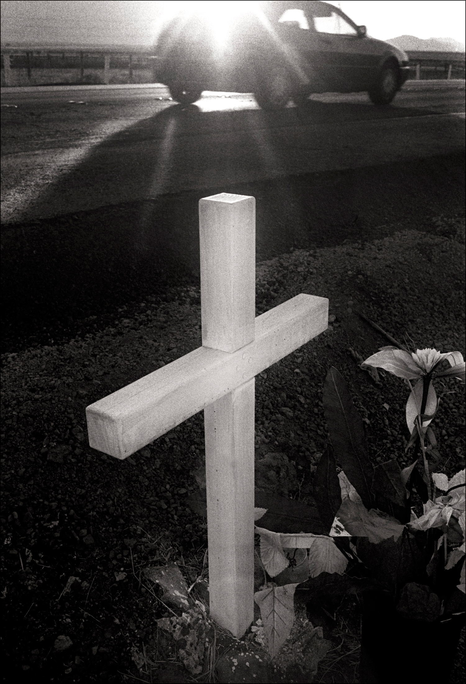 Roadside Cross, Petaluma, CA, 1995