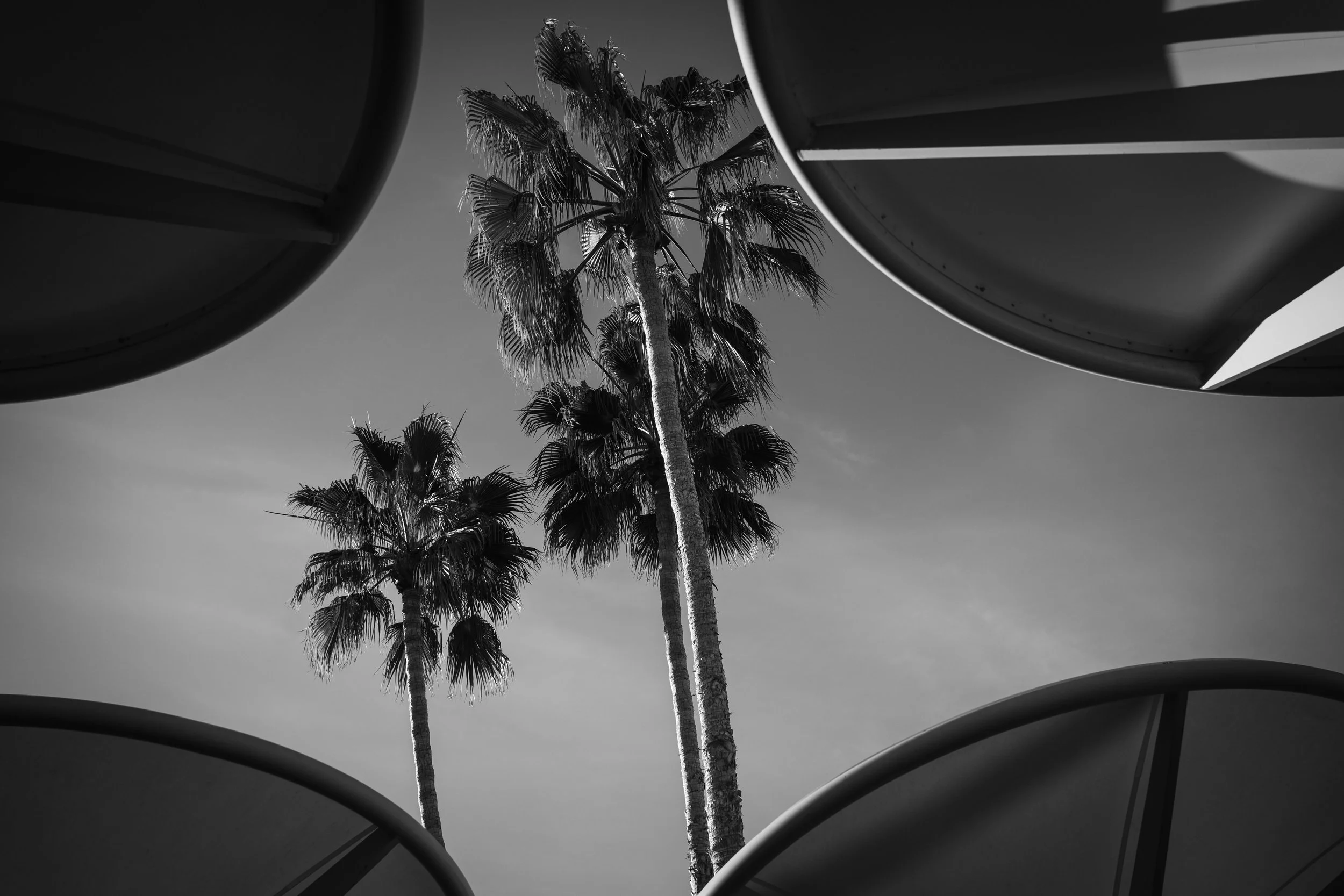 pexels-kyle-miller-169884138-21044340.jpg