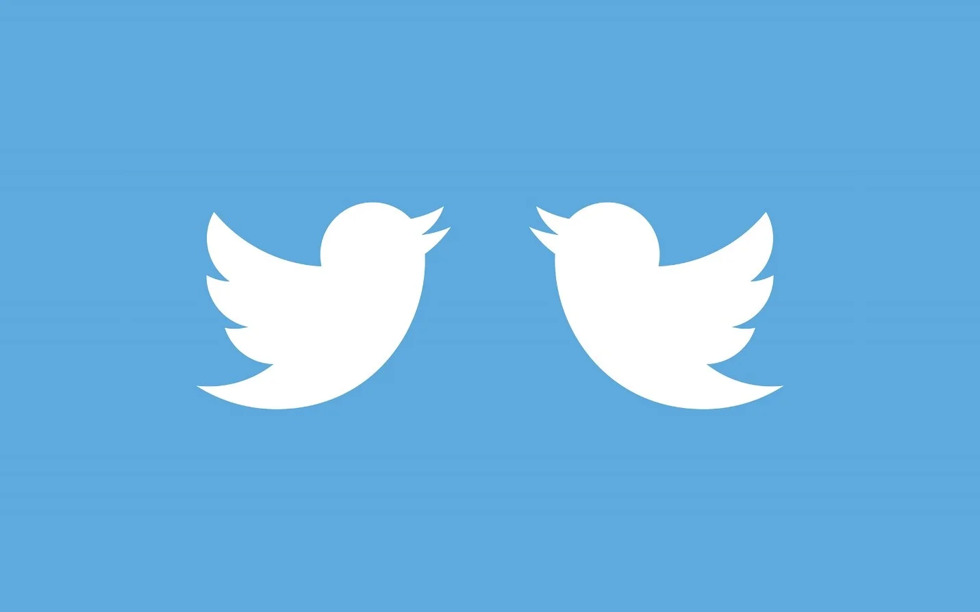 What two Twitter accounts might look like.