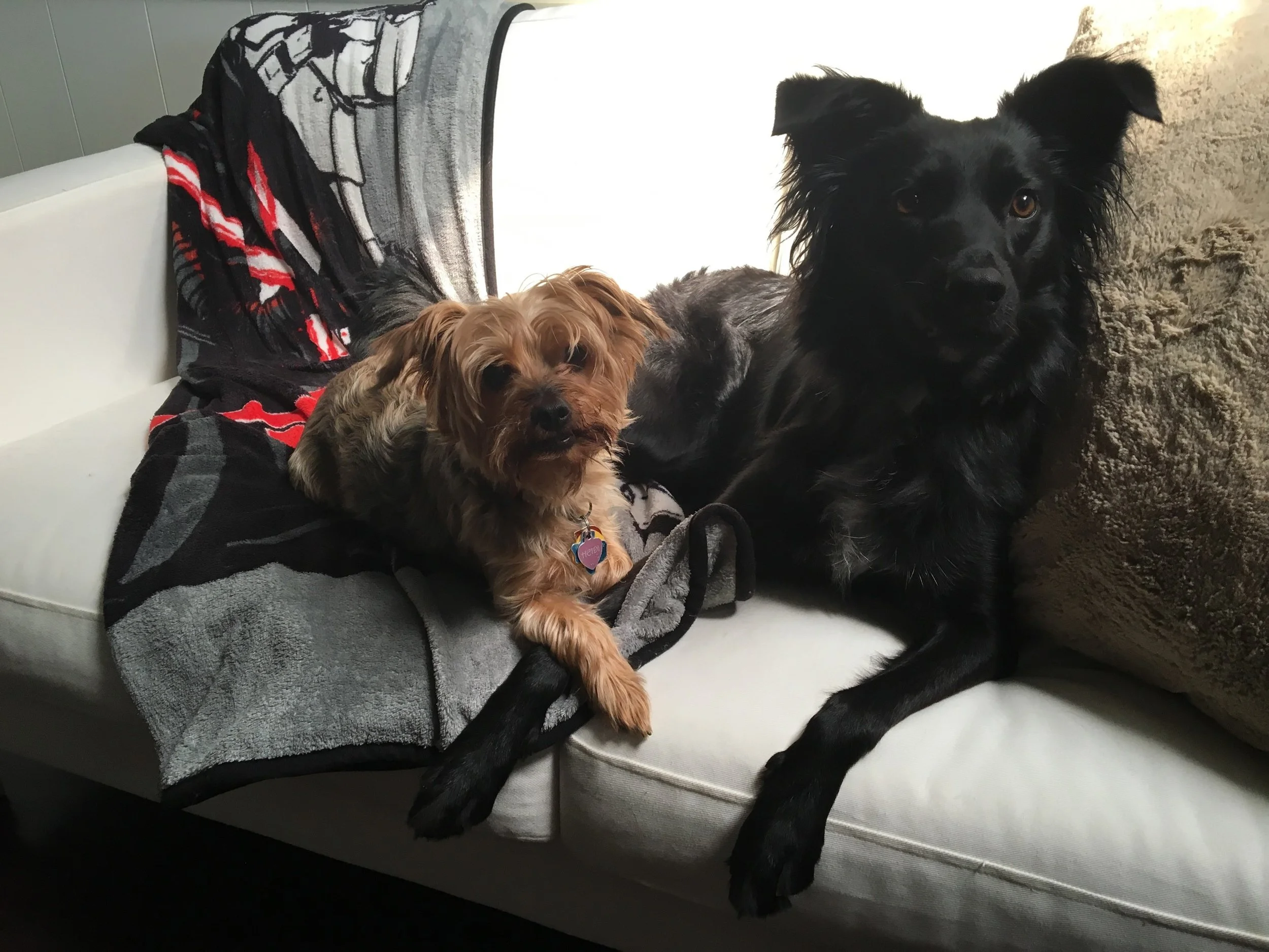 Heidi and Coco Mudd