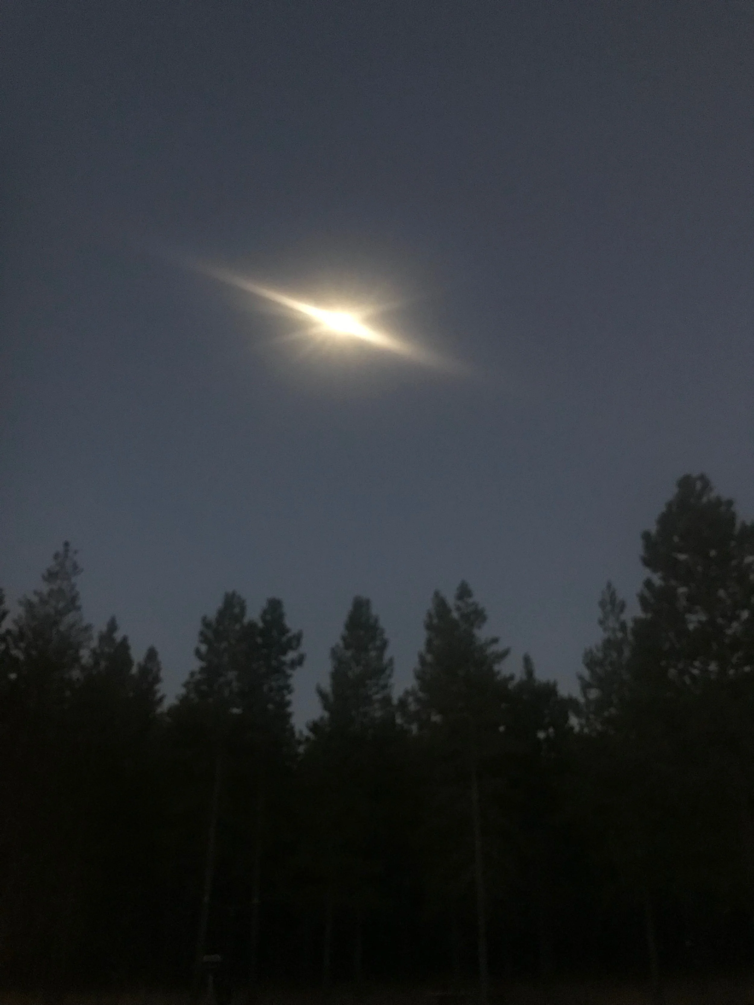 IMG_4341.jpeg