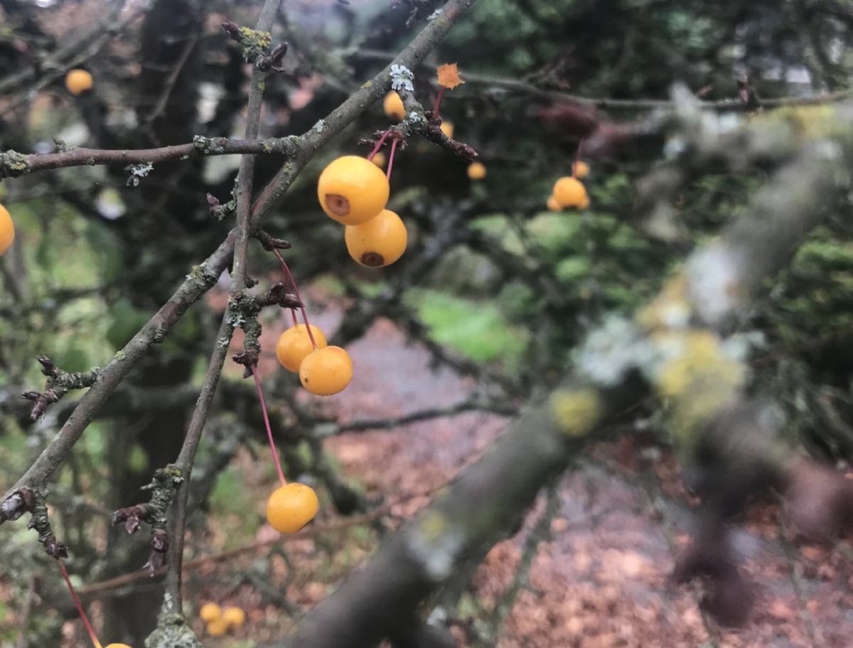 IMG_4567.jpeg