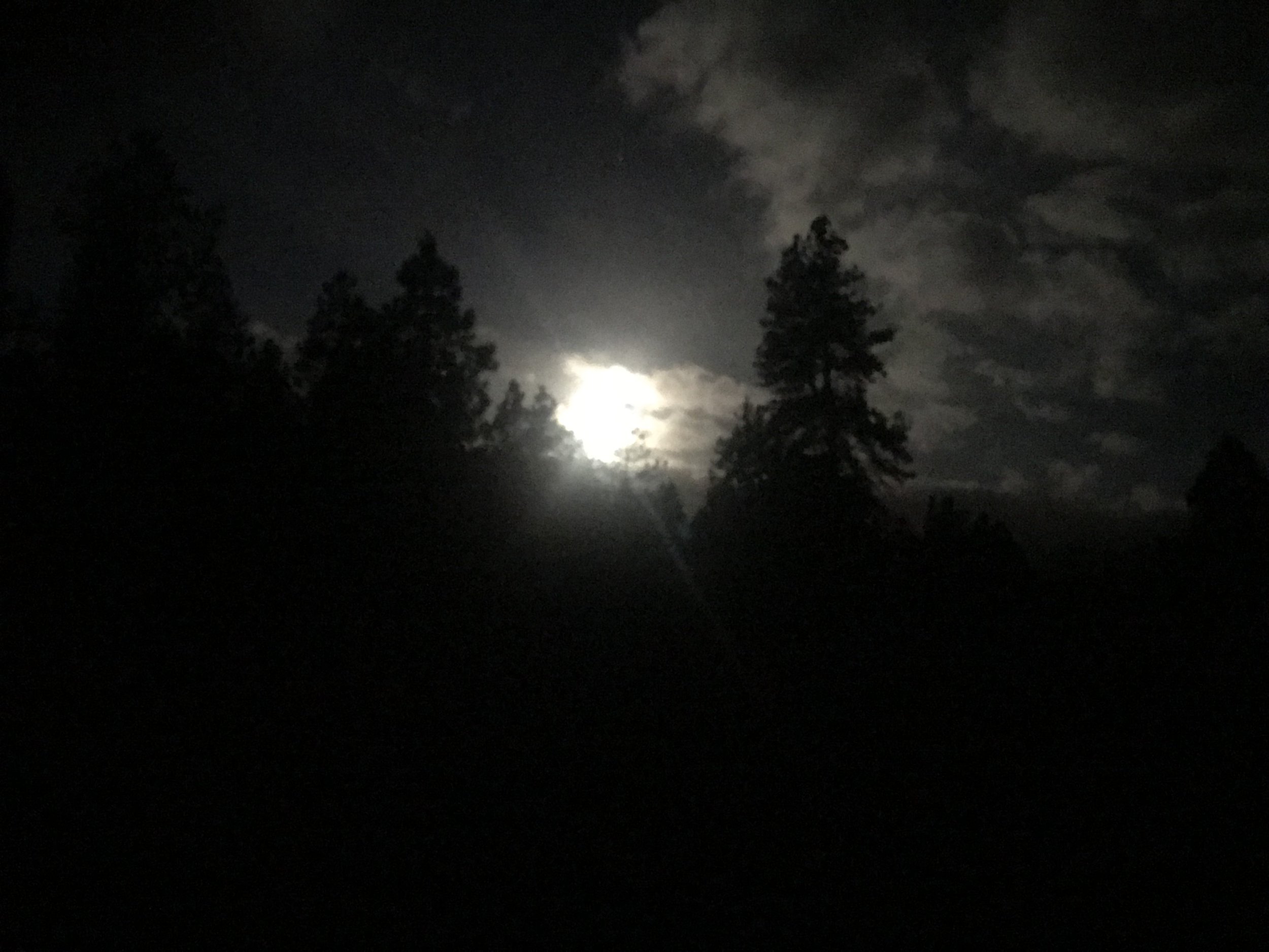 IMG_4873.jpeg