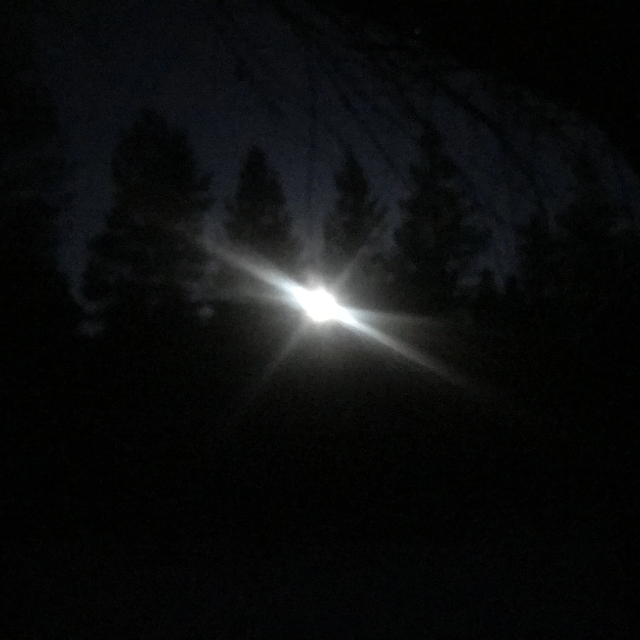 IMG_5506.jpeg