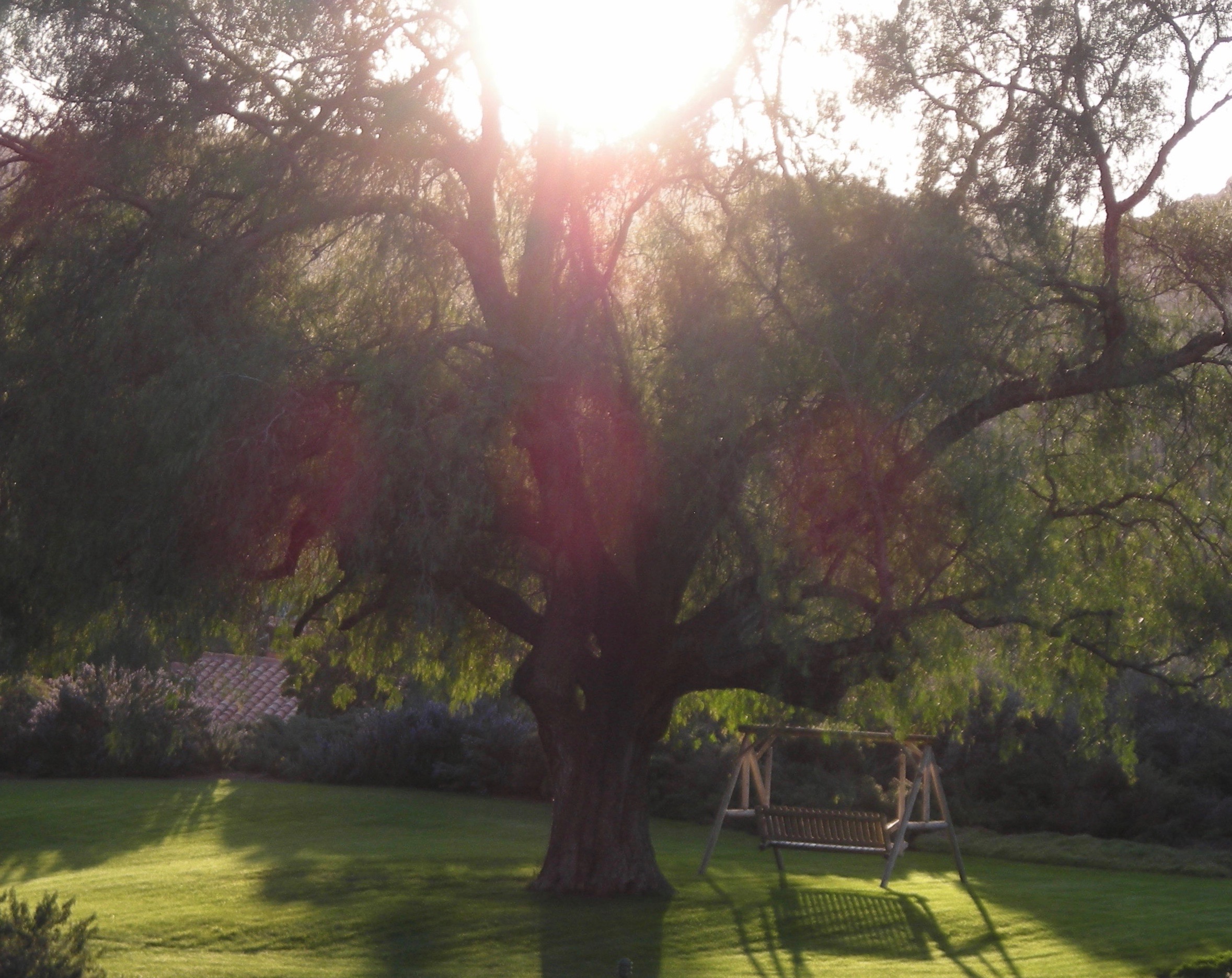 Rancho La Puerta - Photo by Tom Pierson
