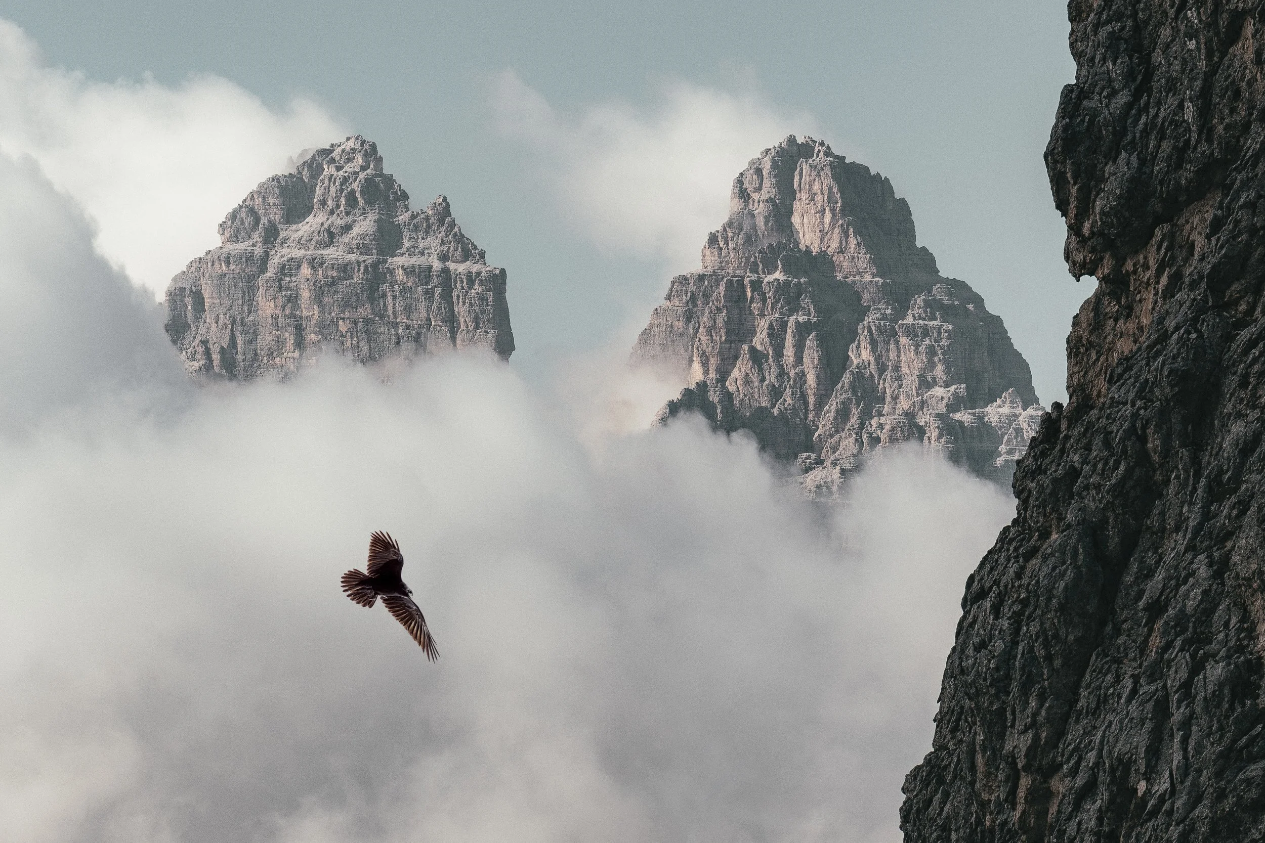 Photo by eberhard grossgasteiger from Pexels