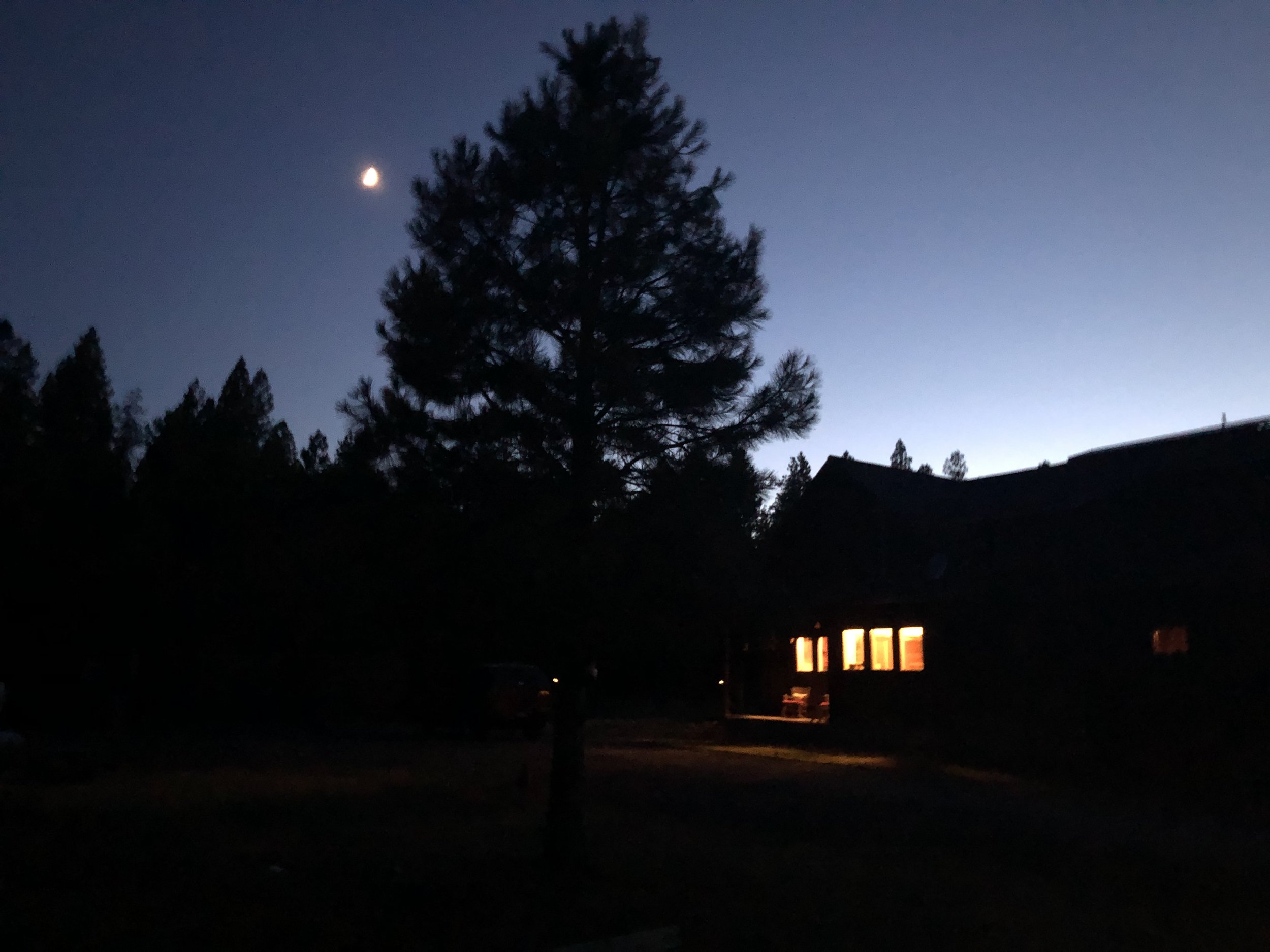 IMG_0109.jpeg
