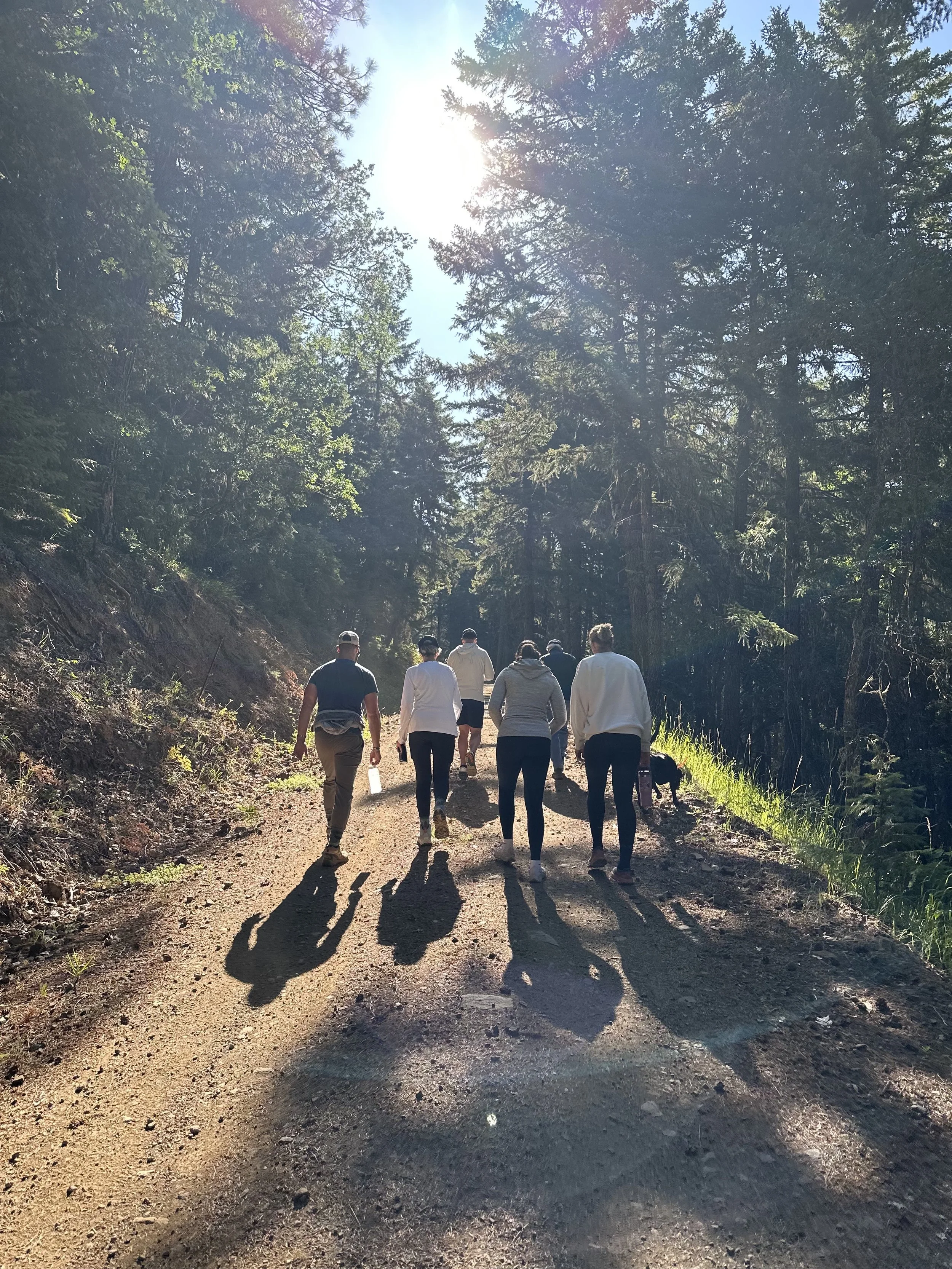 Family Logging Road.jpeg