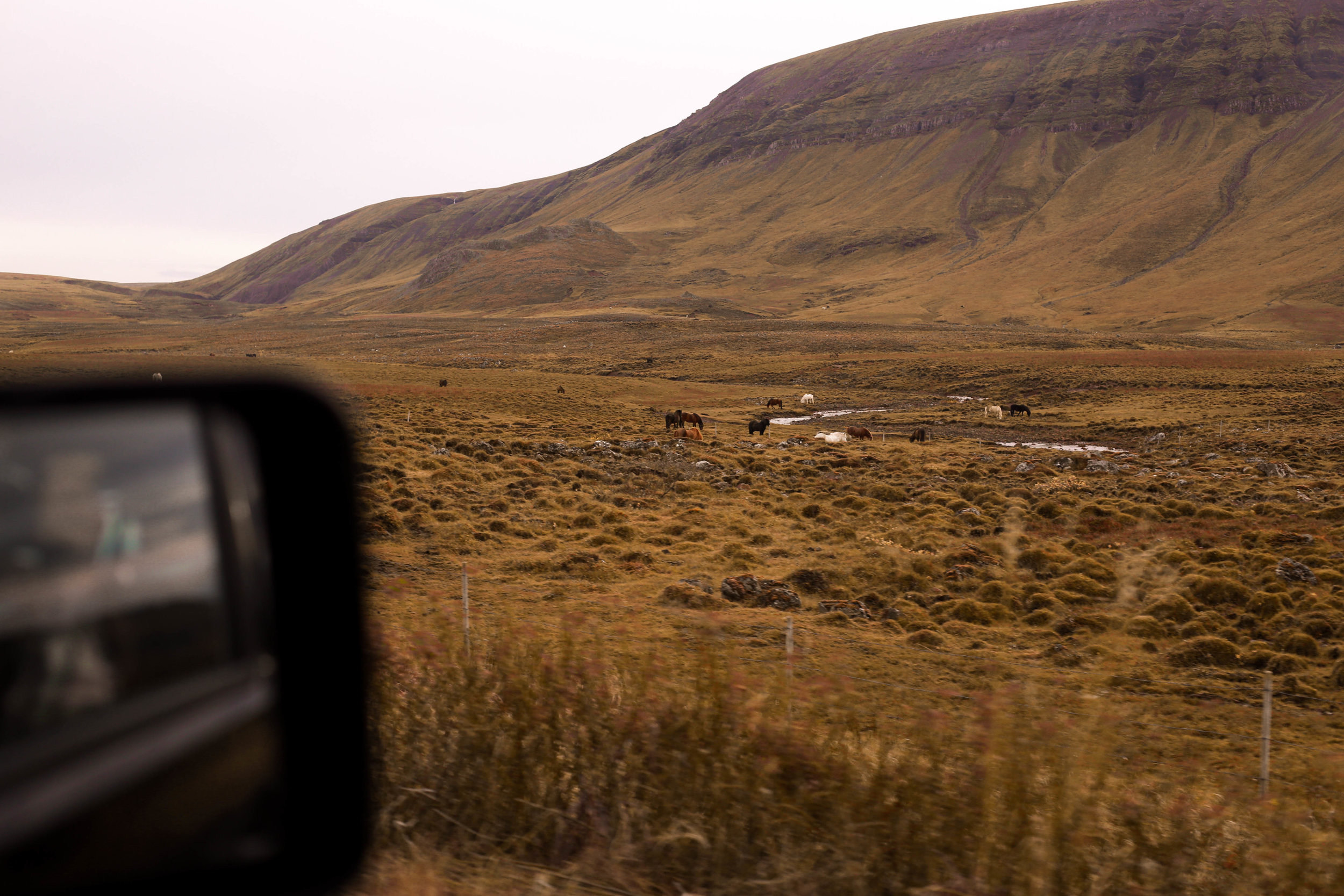 icelandedited-36.jpg