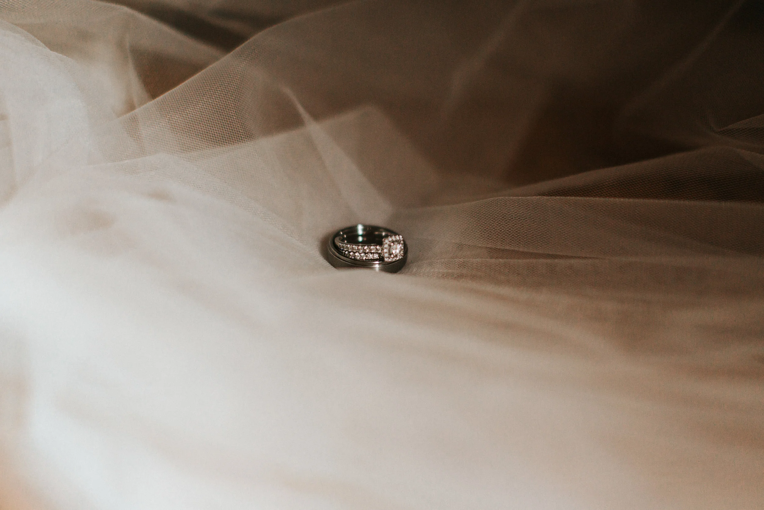MORNING-26.jpg
