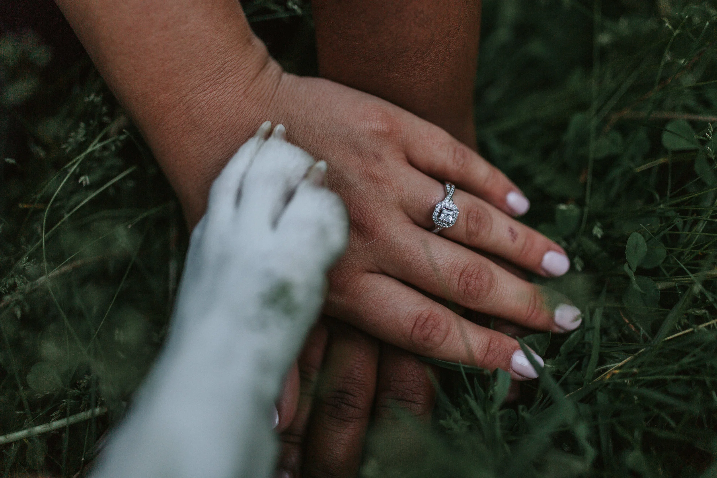 B+D_Engagements-6.jpg